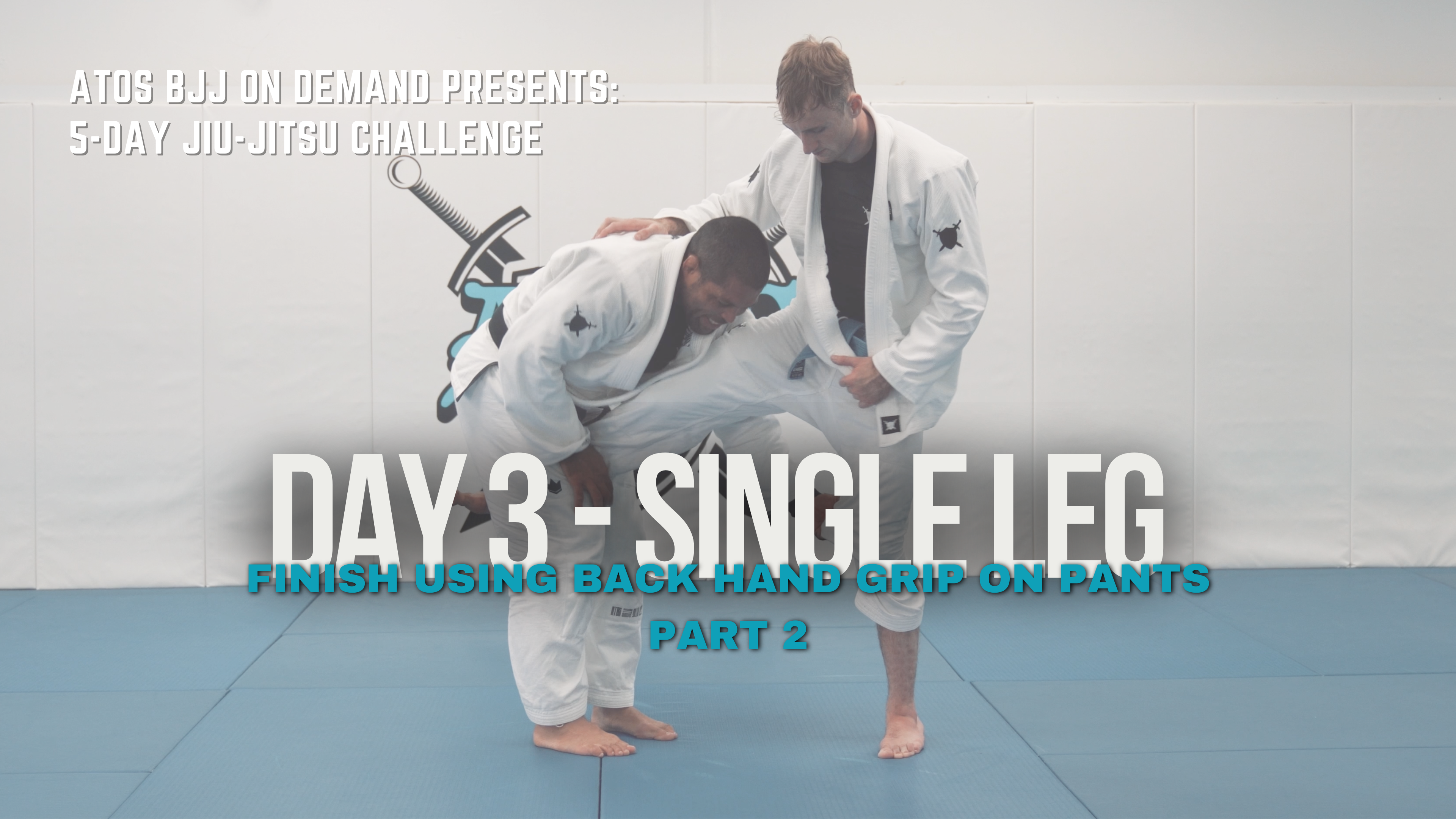 Day #3: Single Leg Finish Using Back Hand Grip On Pants | Part 2