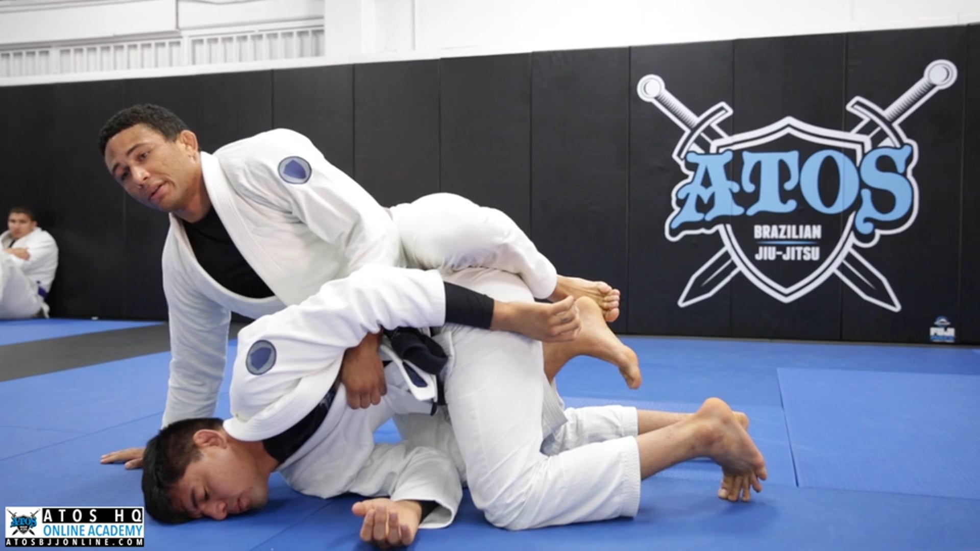 Butterfly Guard Pass Using Side Smash to Back Take