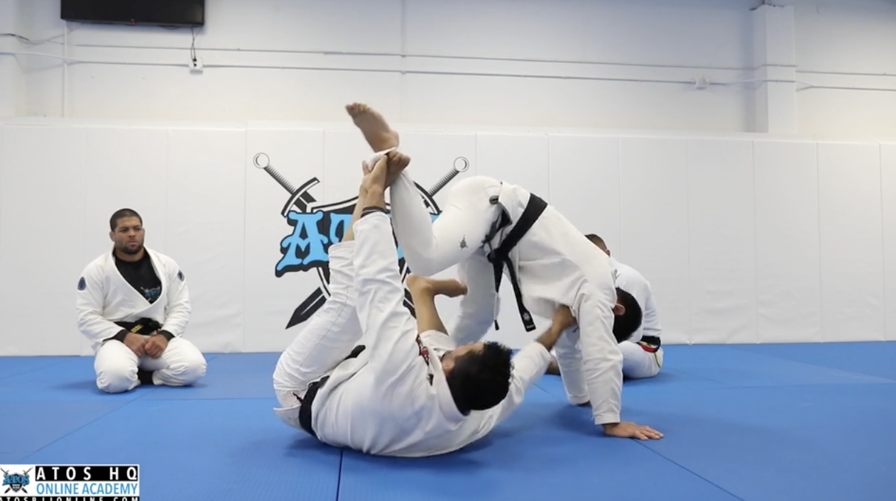 The Scorpion Guard | Concepts & Details Discussion