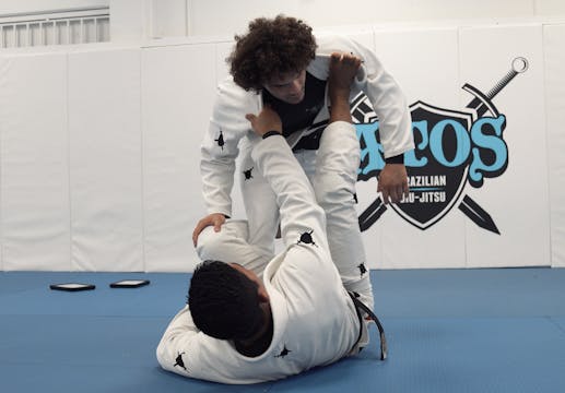 Controlling the DLR Guard | Part 1