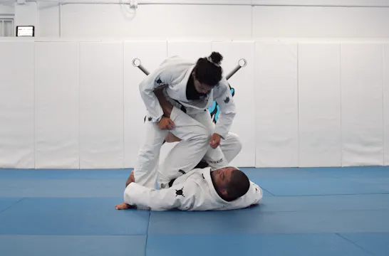 Tarantula Guard Sweep | Part 4