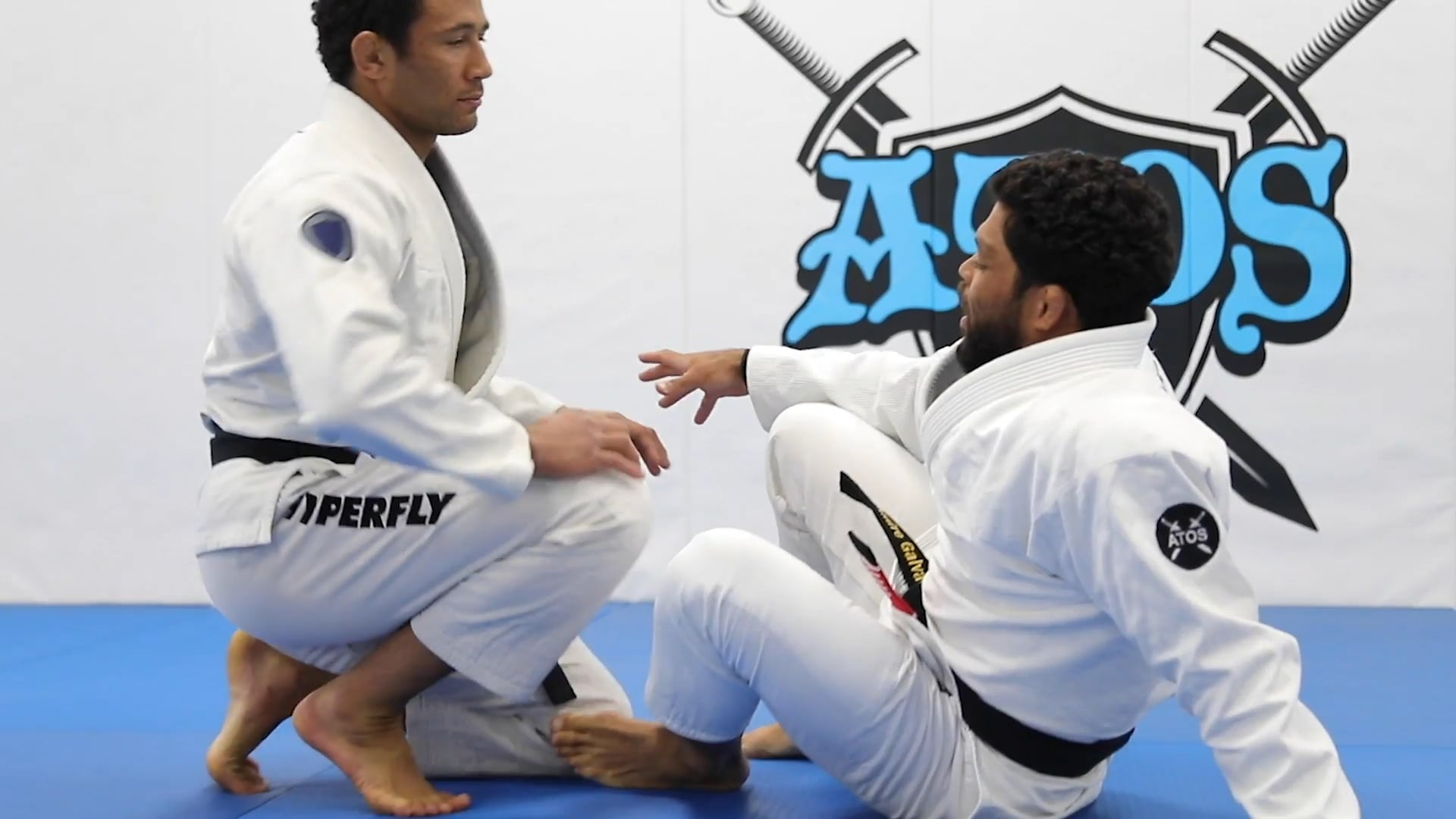 One Leg X to 4/11 + Ankle Lock or Sweep