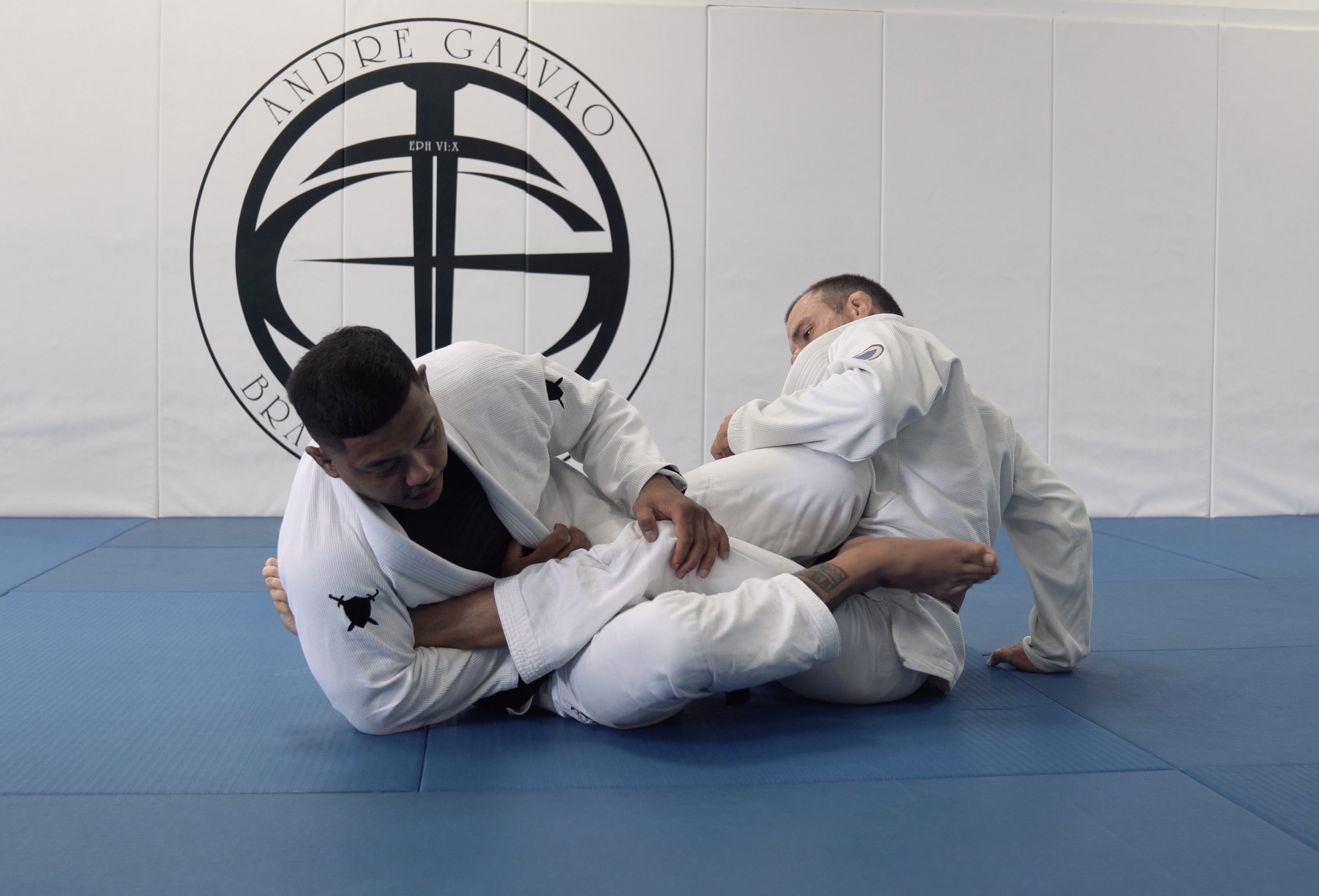 Tarantula Guard Single Leg X Entry with Foot Lock Finish