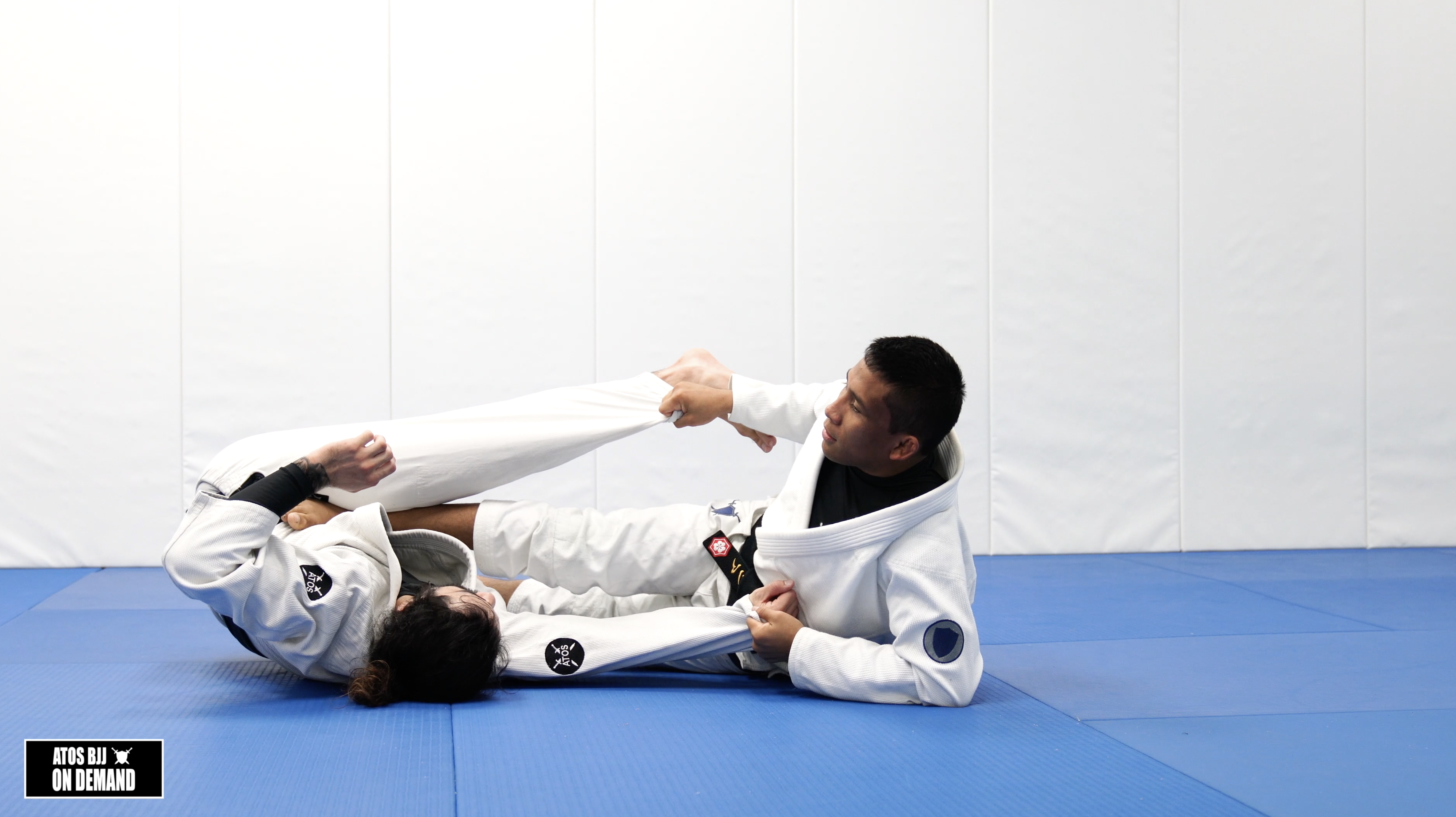 Guard Pull to DLR Sweep | Kids Class