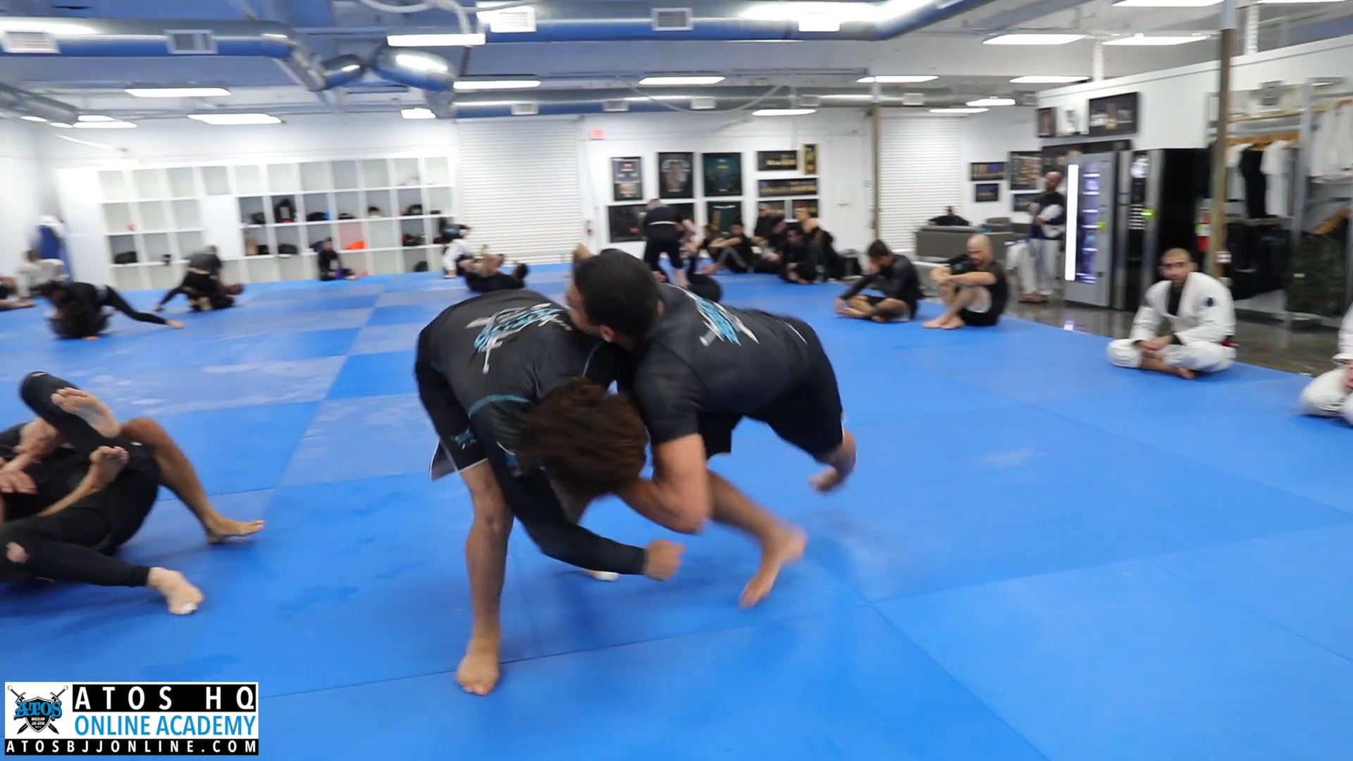 Kade Ruotolo & Tye Ruotolo Porrada!