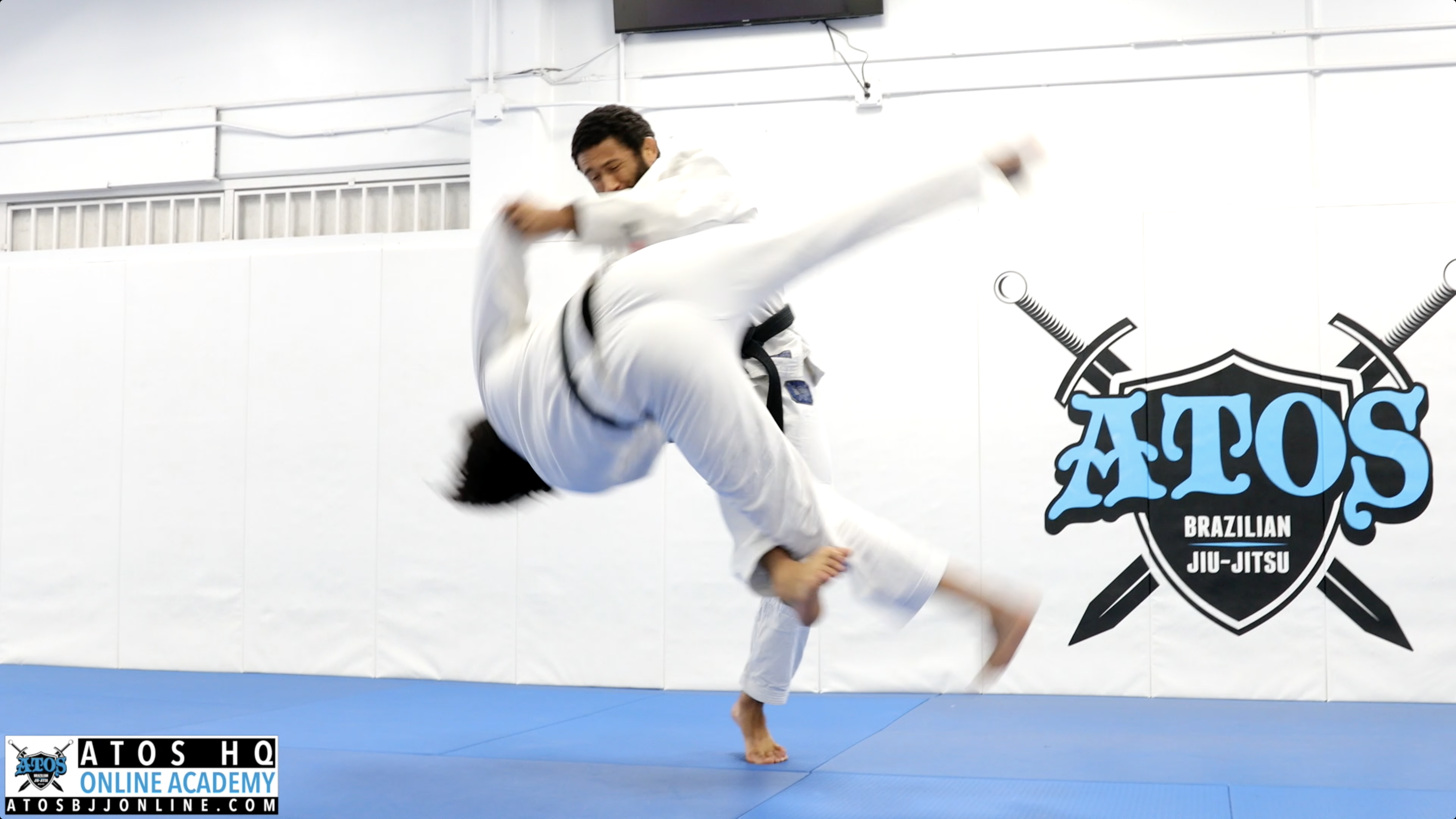 Hisa Guruma Takedown