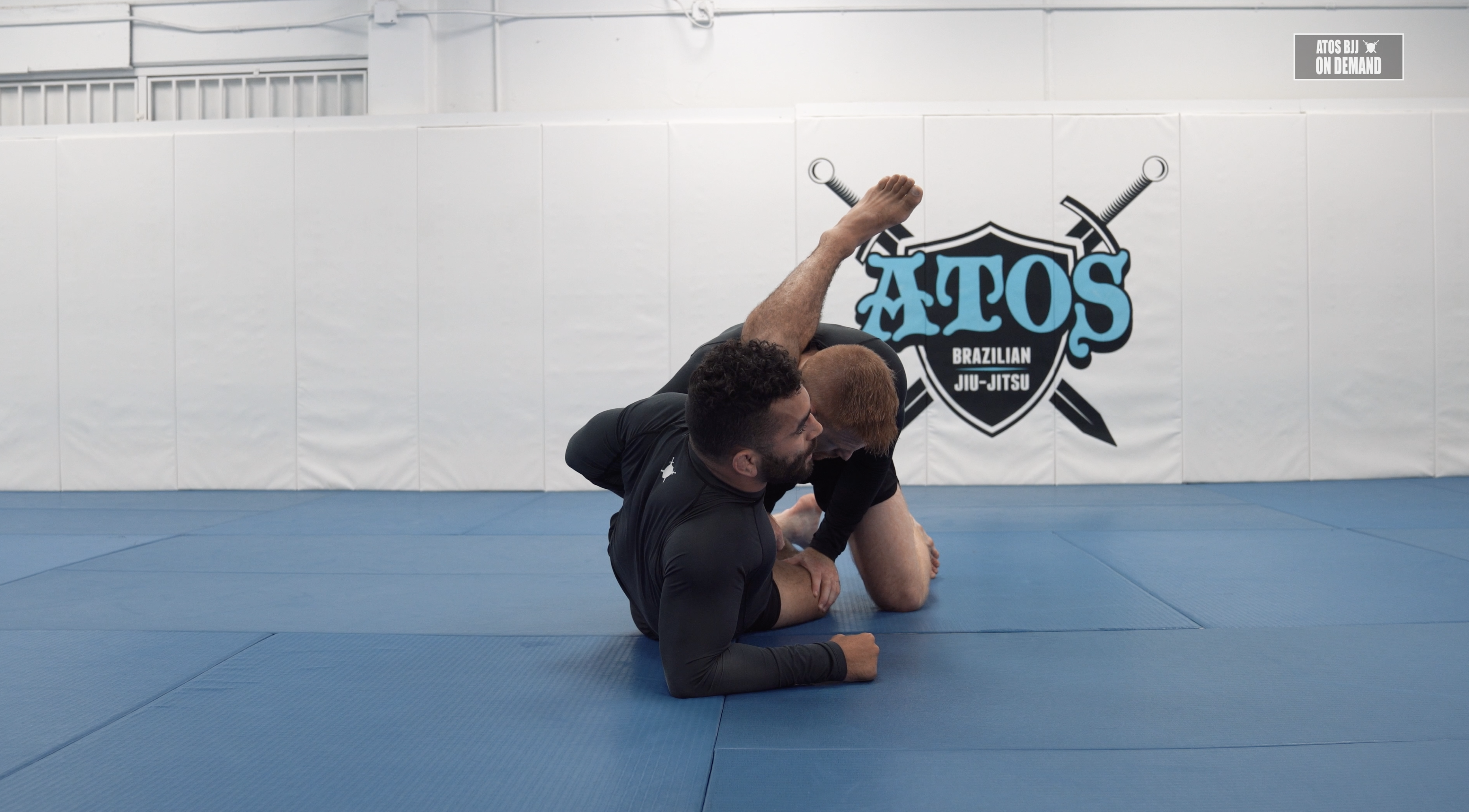 Back Take and Submission from Hippoplata