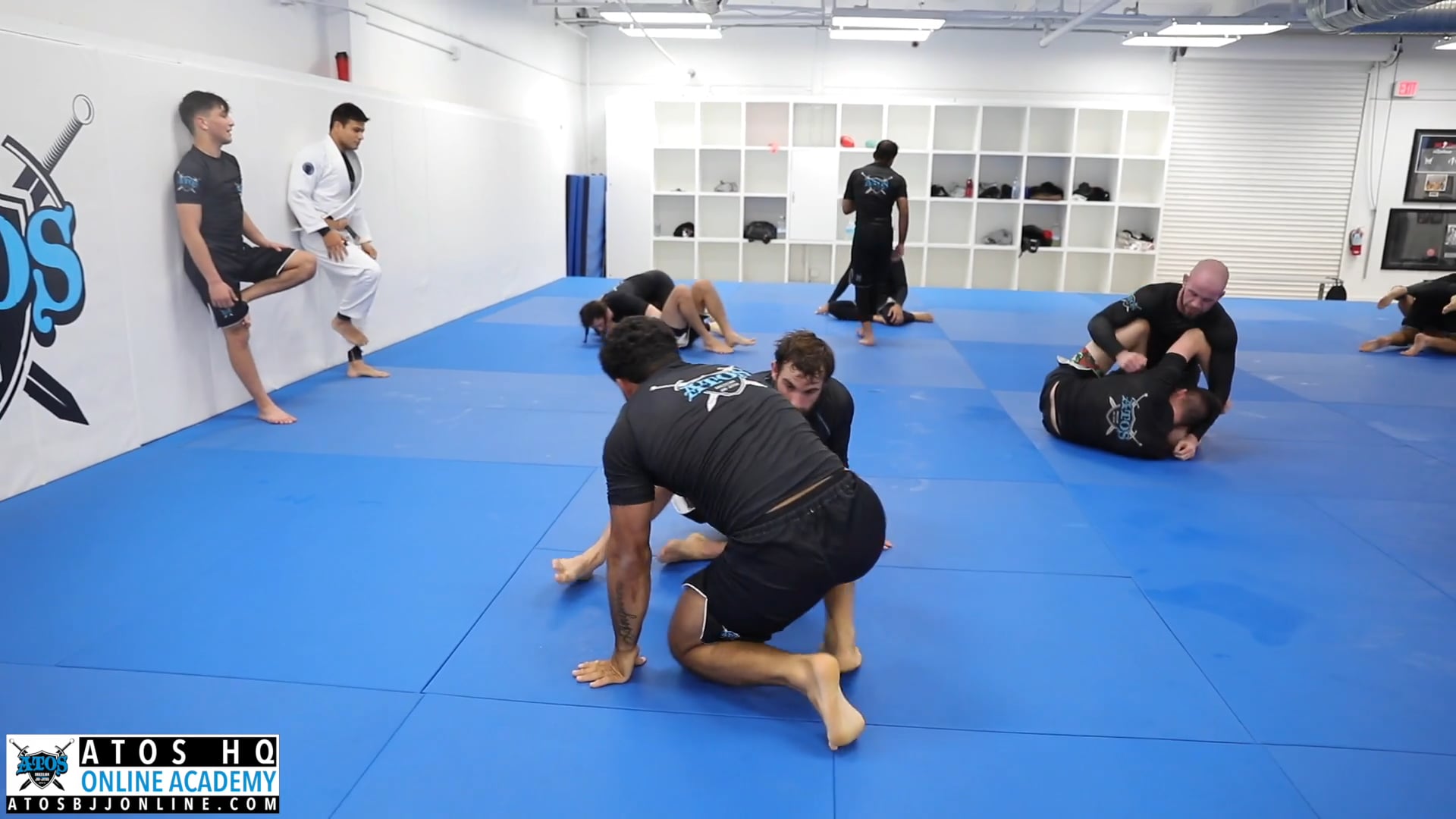 Andre Galvao Fun Roll With One Of His Purple Belts Gabriel Perroud