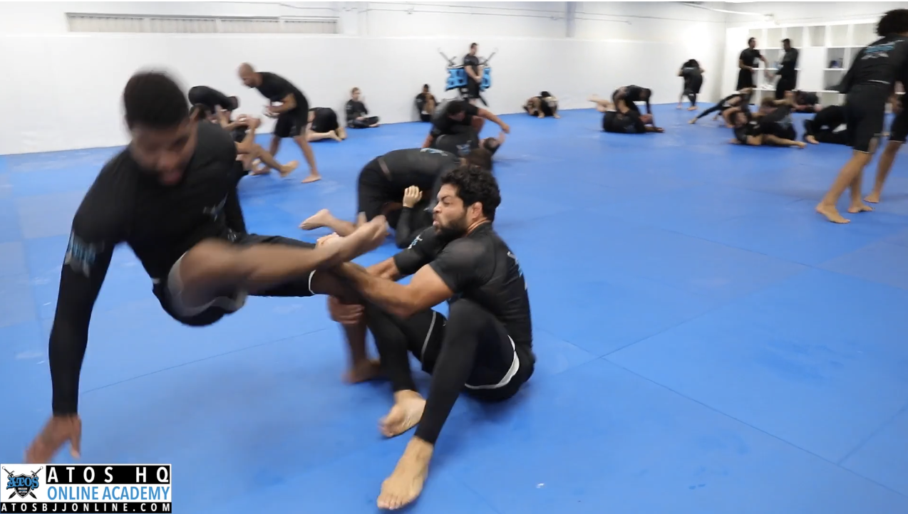 Andre Galvao vs "Cavalo" (Purple)