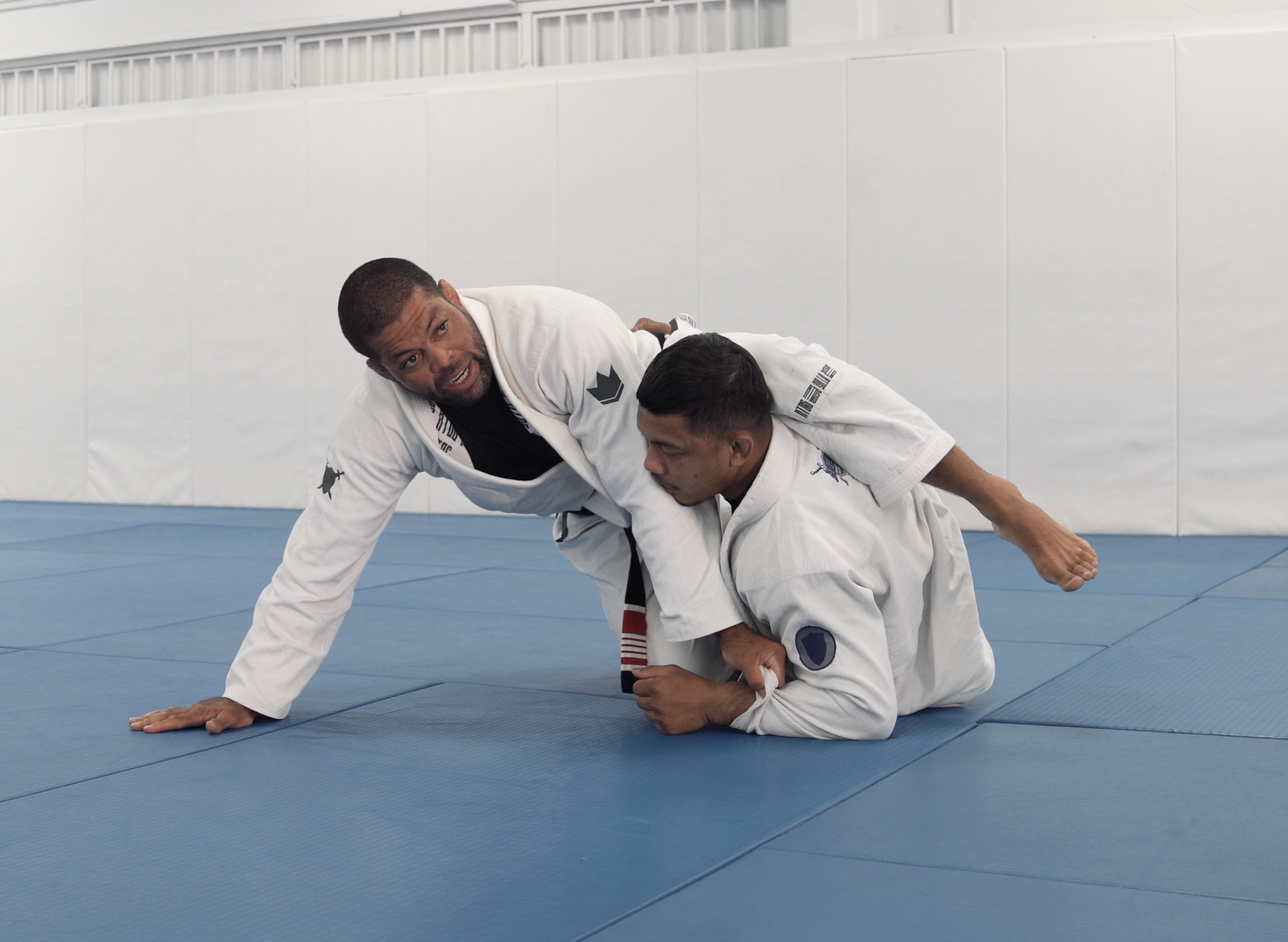 Q&A About Half Guard: Hippoplata Attacks | Part 2