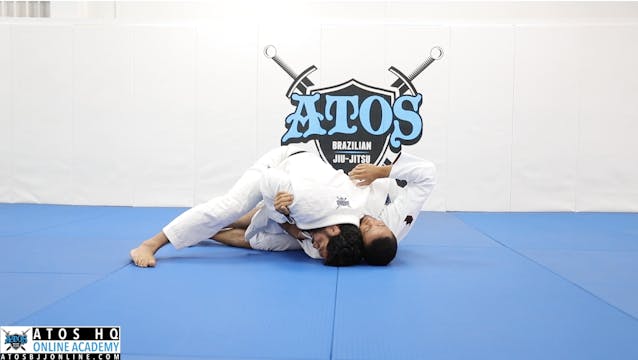 Reverse DLR Guard Pass Variations: Si...