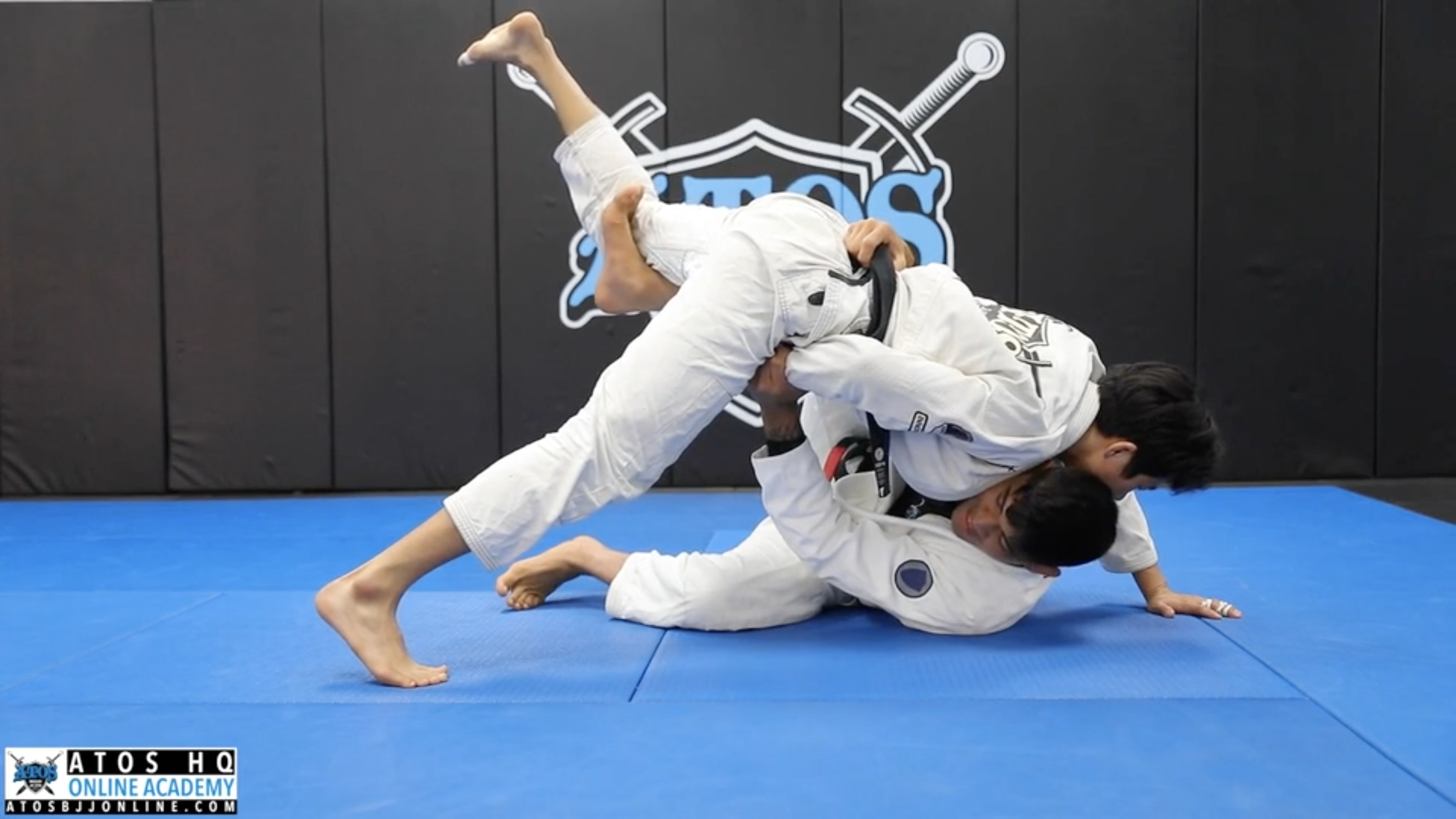 Butterfly Guard Sweep