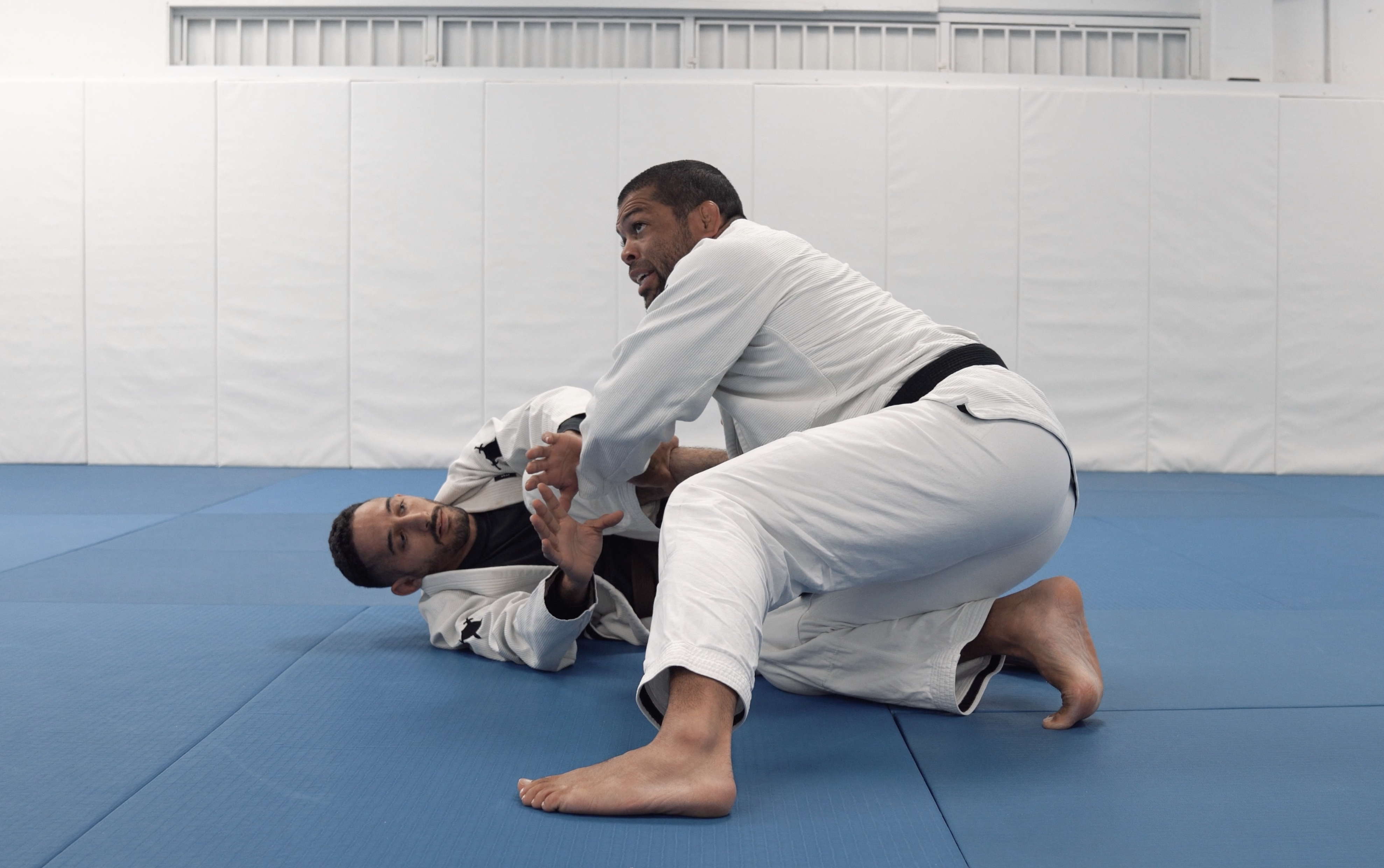 Crazy Dog Pass Variations | Part 3