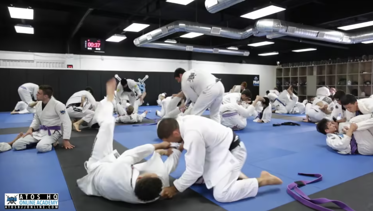 Sparring - Andre Galvao With a Purple Belt 