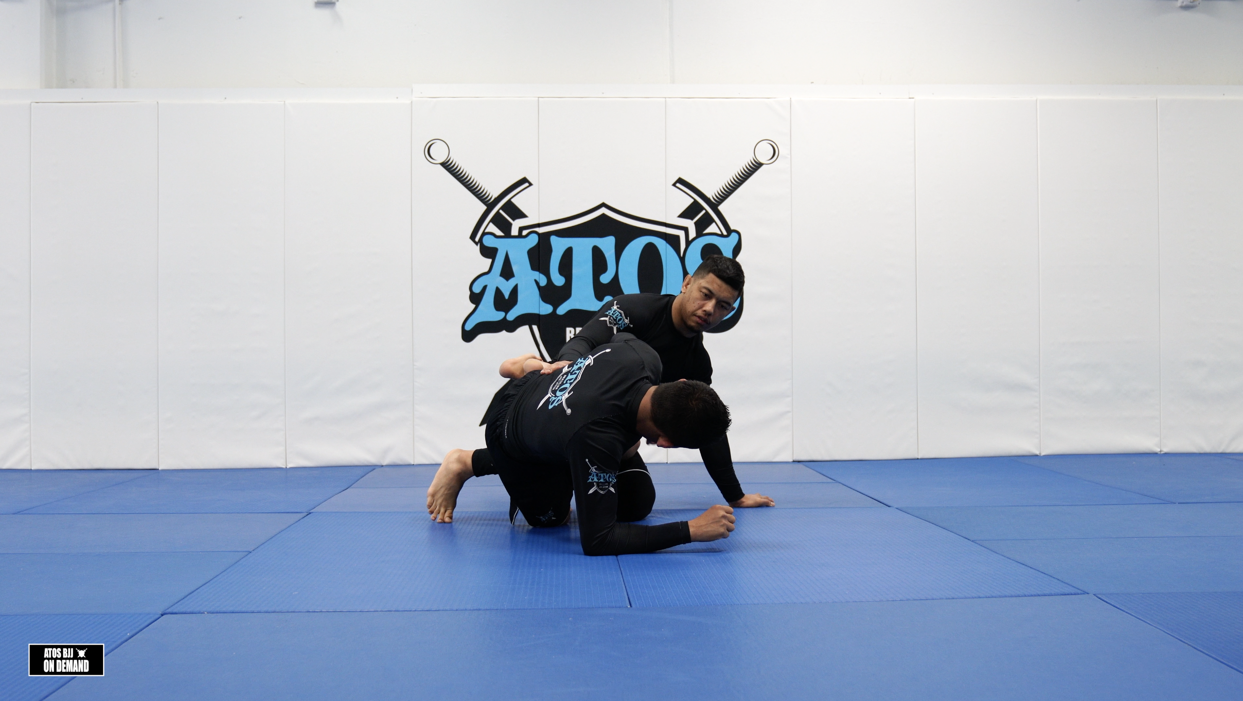 Knee Shield Sweep 