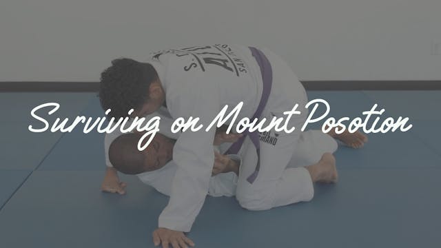 Day 4 - Surviving in Mount Position