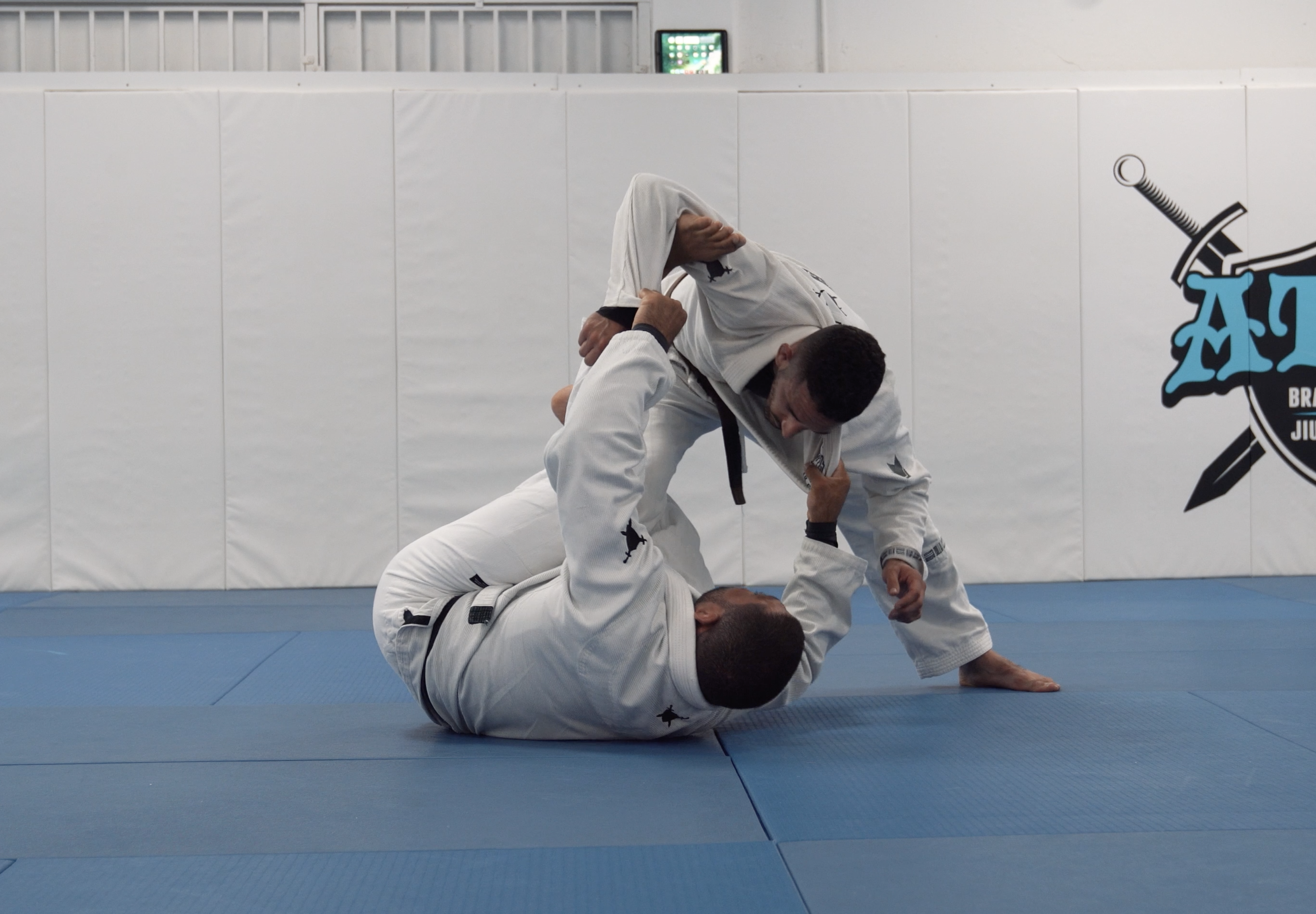 Tarantula Guard Reverse DLR Attacks | Part 3