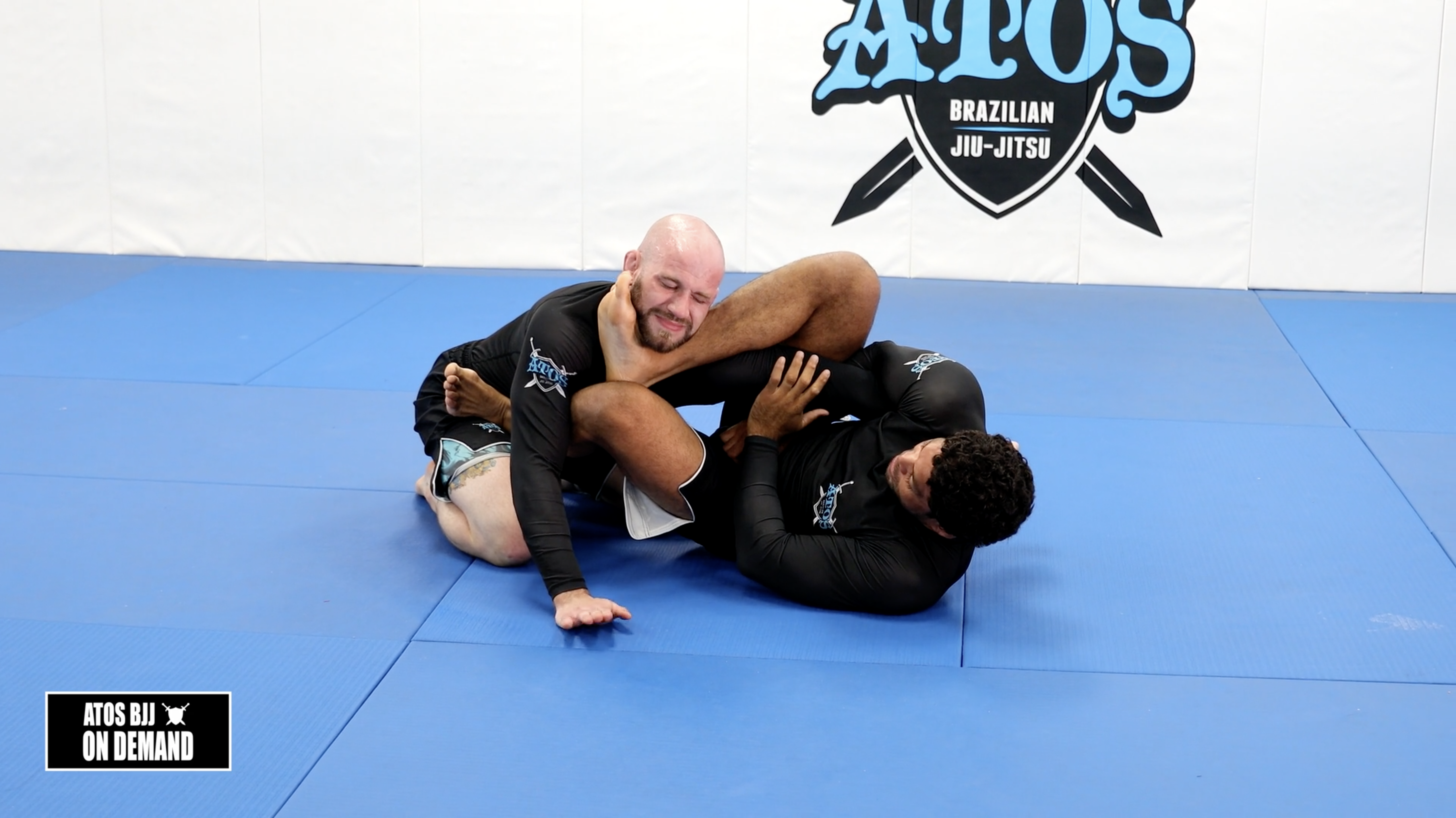 Whizzer Arm Lock & Omoplata Submissions from Closed Guard with Shoulder Trap