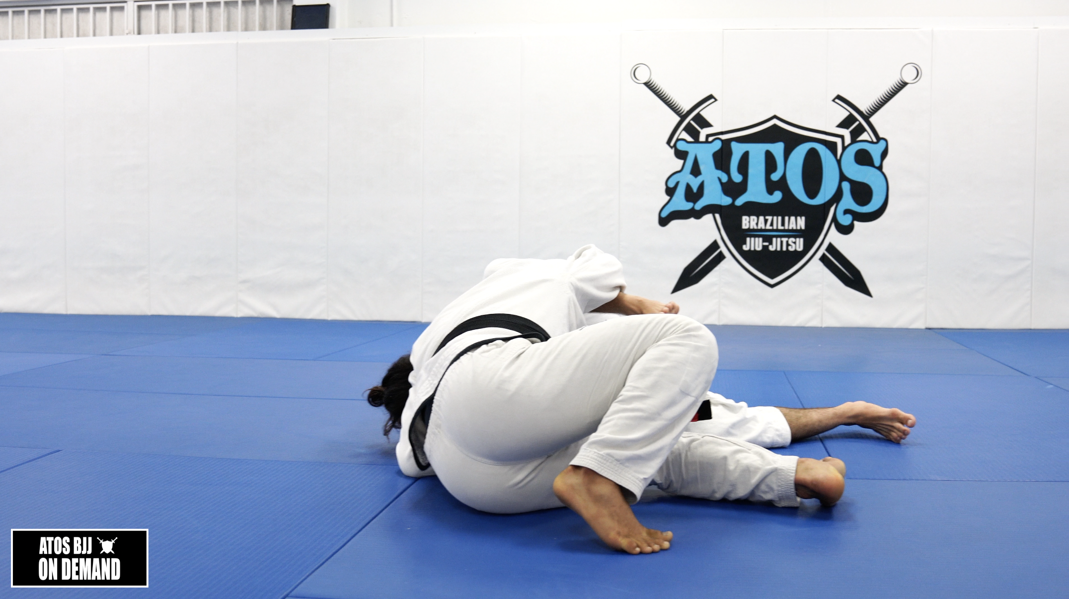 Long Step Pass From Spider Guard 