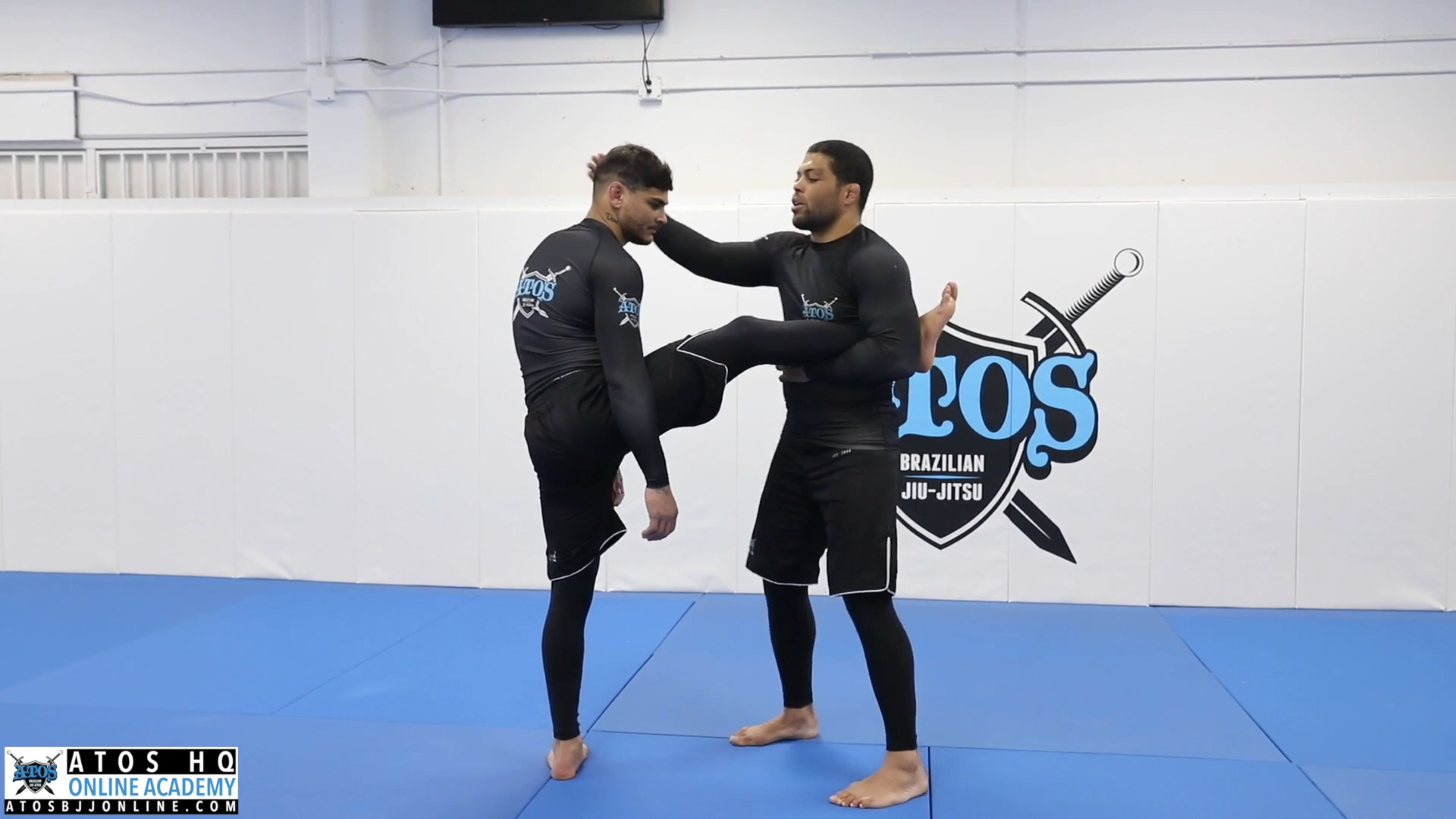 Roundhouse kick defense