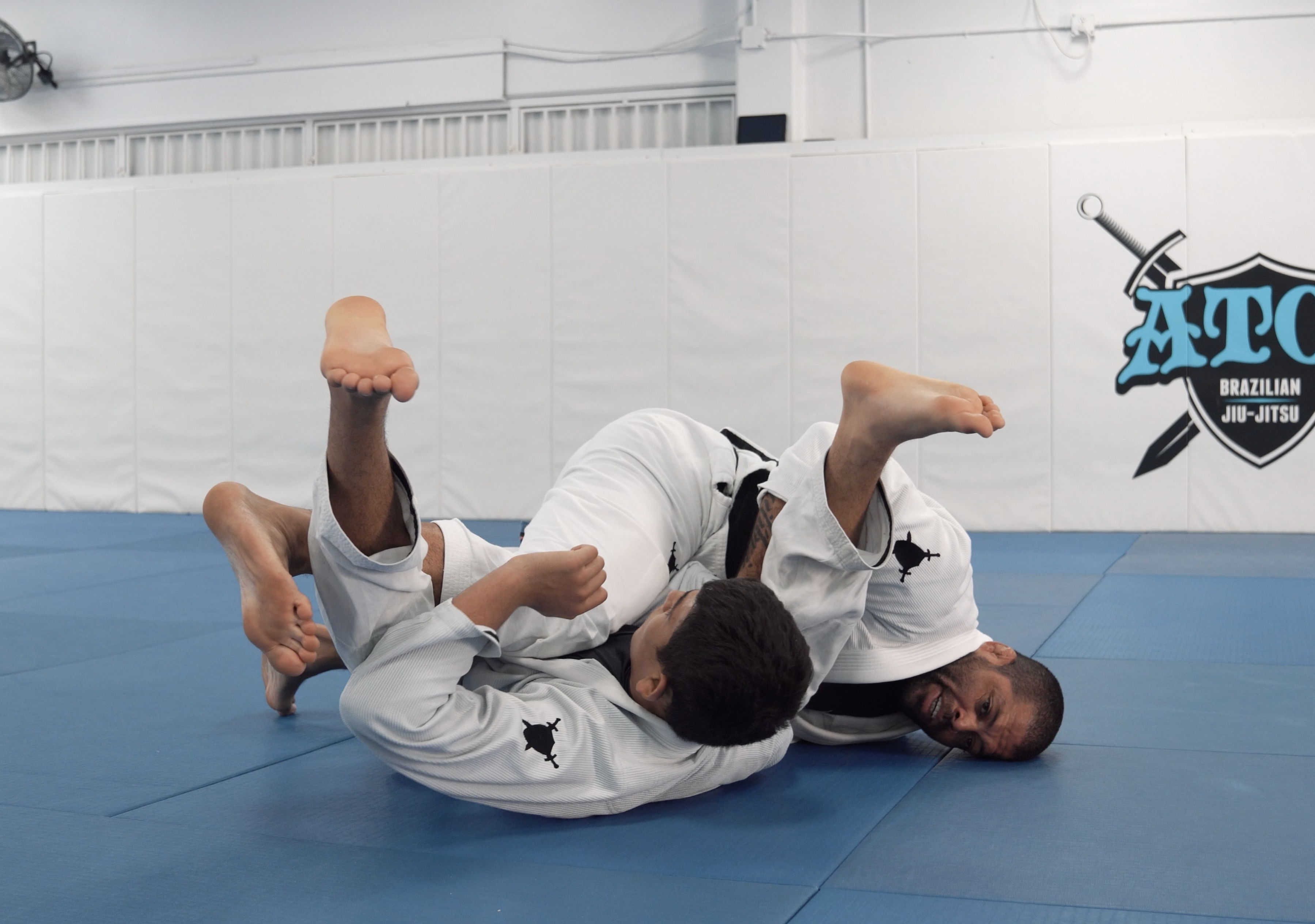 Reverse Half Guard Counters