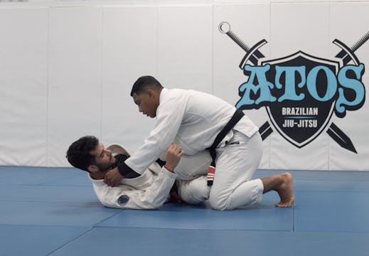 Shin Slice to Side Smash From Reverse...