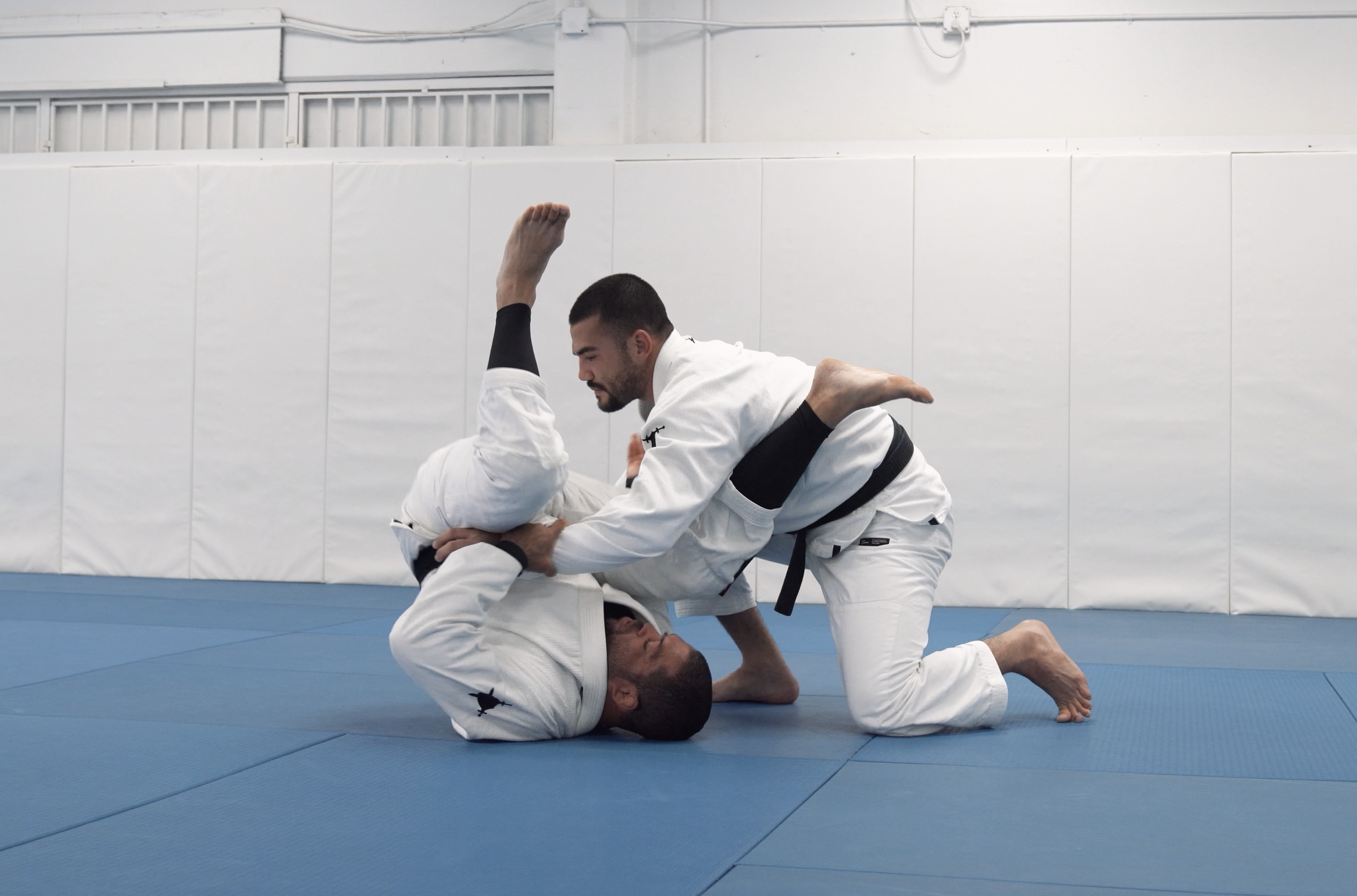 Crazy Dog Pass Defense | Part 2