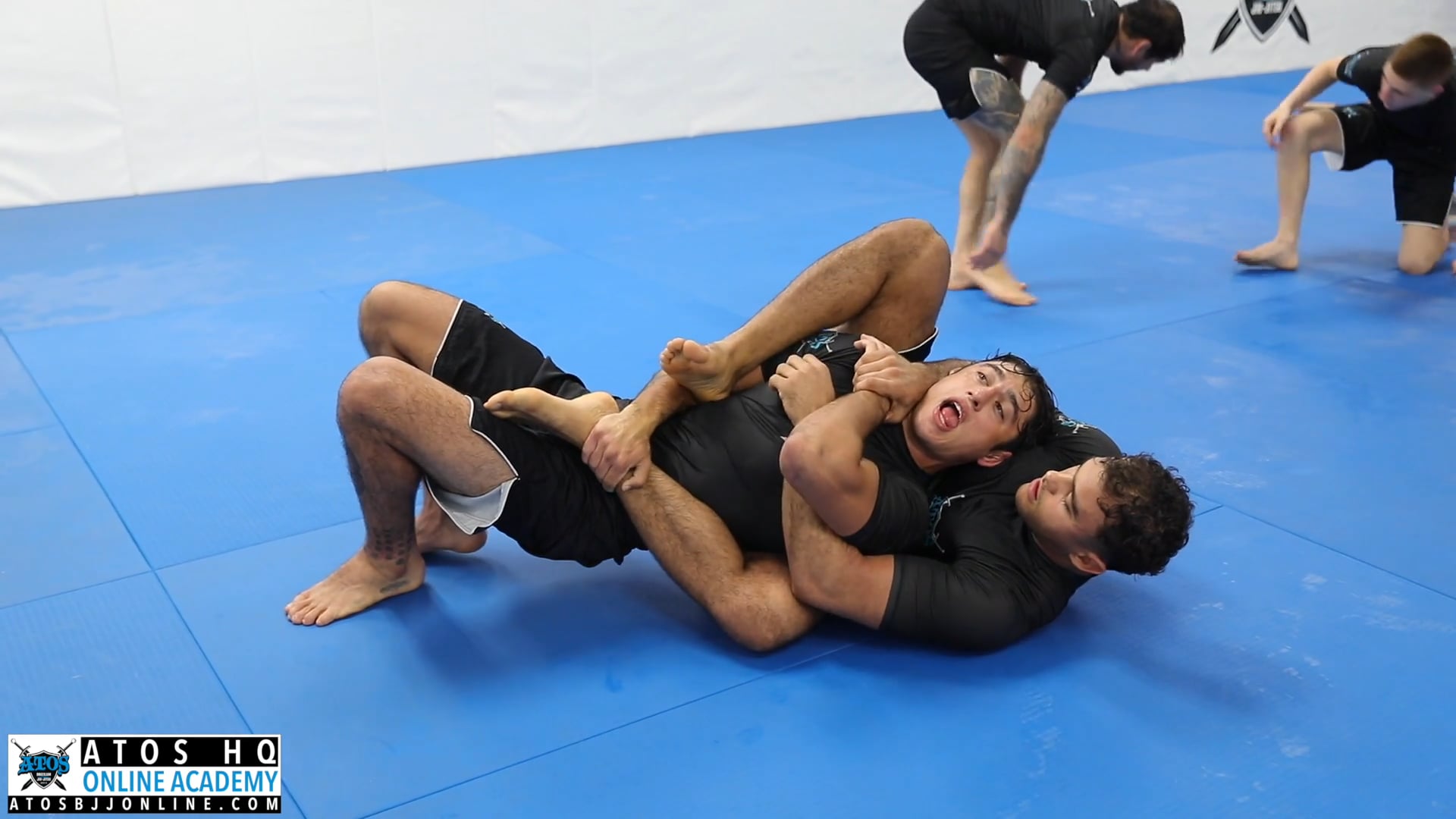 ADCC Heavyweight World Champion Kaynan Duarte Vs Atos Brown Belt Calon Sabino 