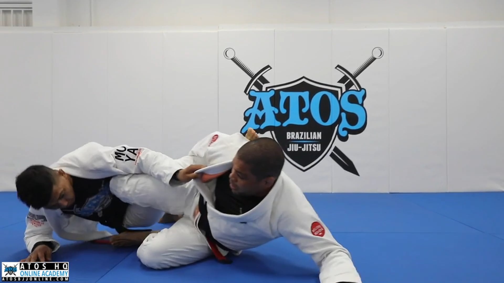 Modified Reverse DeLa Worm Guard Sweep Variations + Sub Attacks