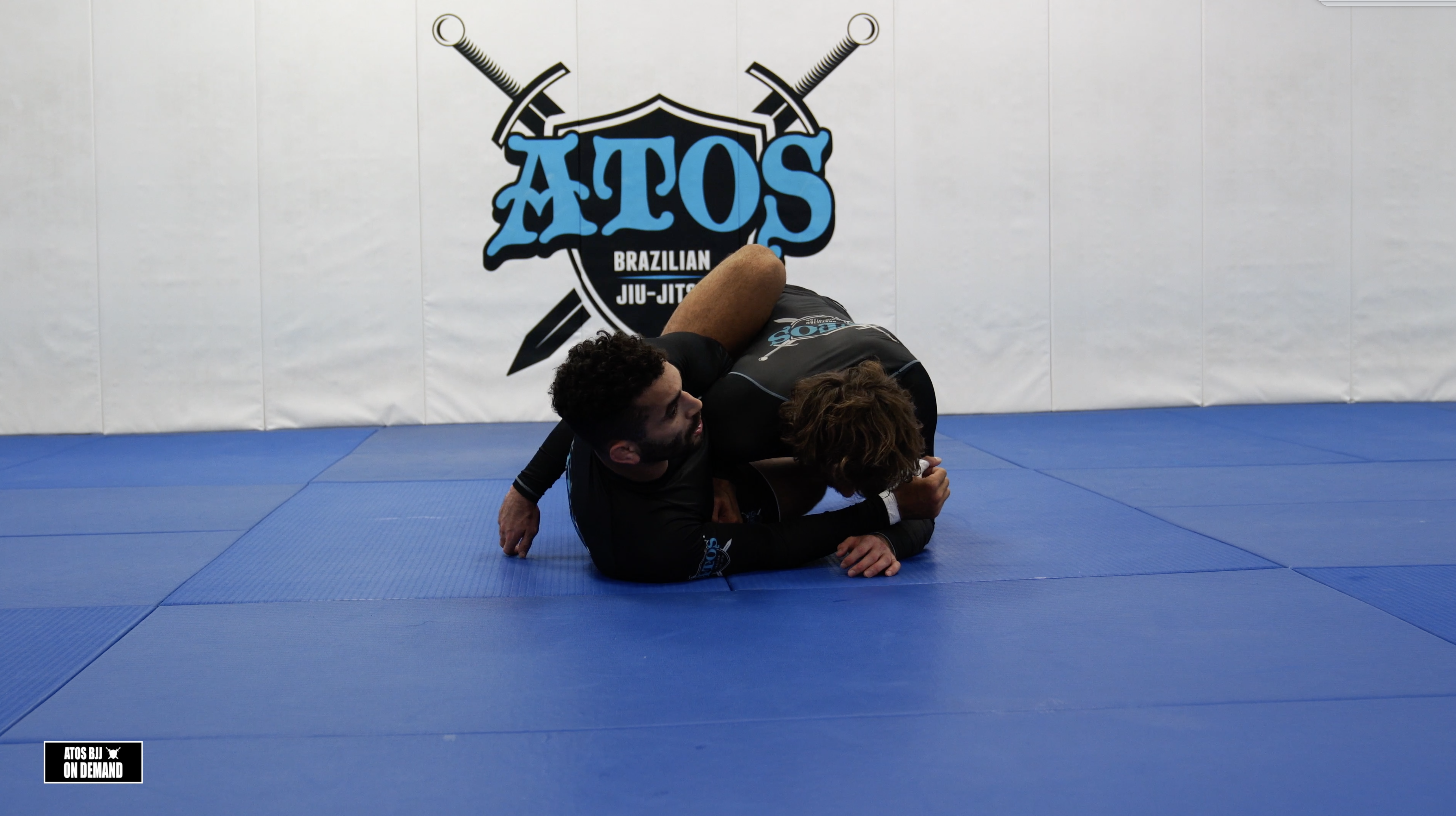 Butterfly Sweep Variations 