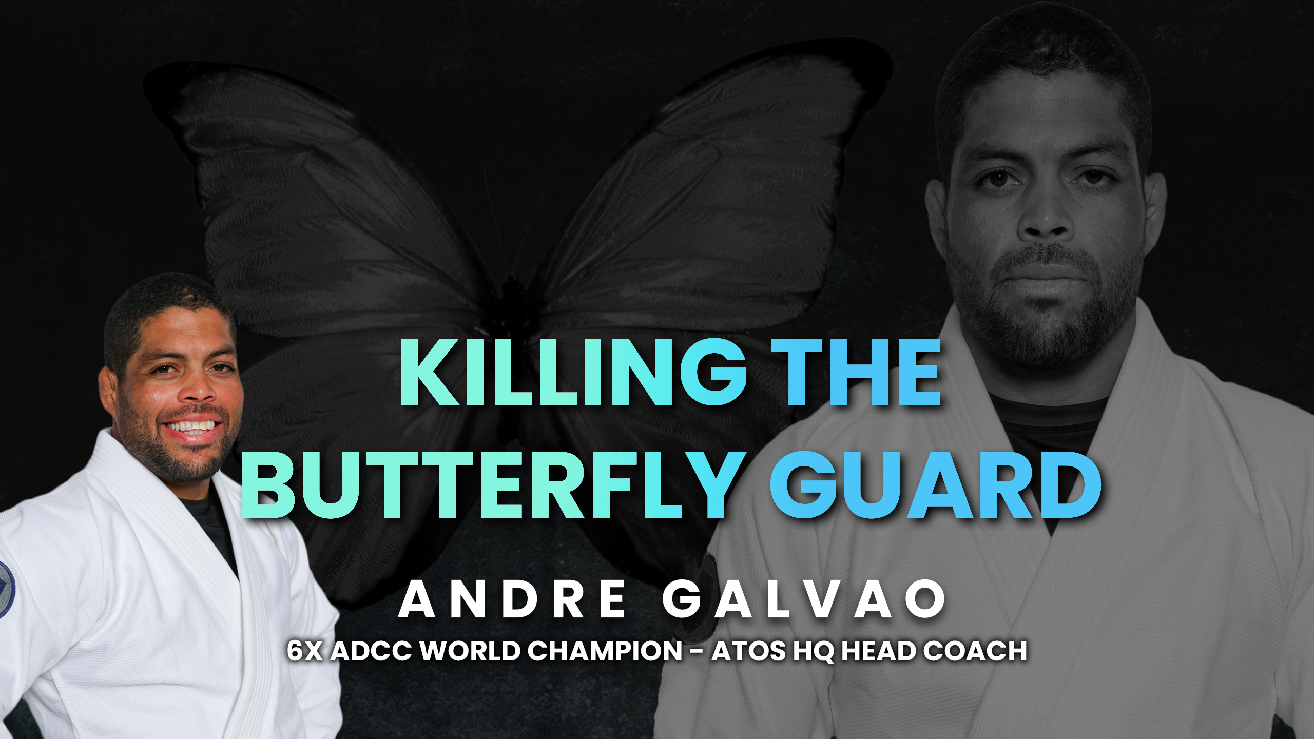 Killing the Butterfly Guard Course By Andre Galvao