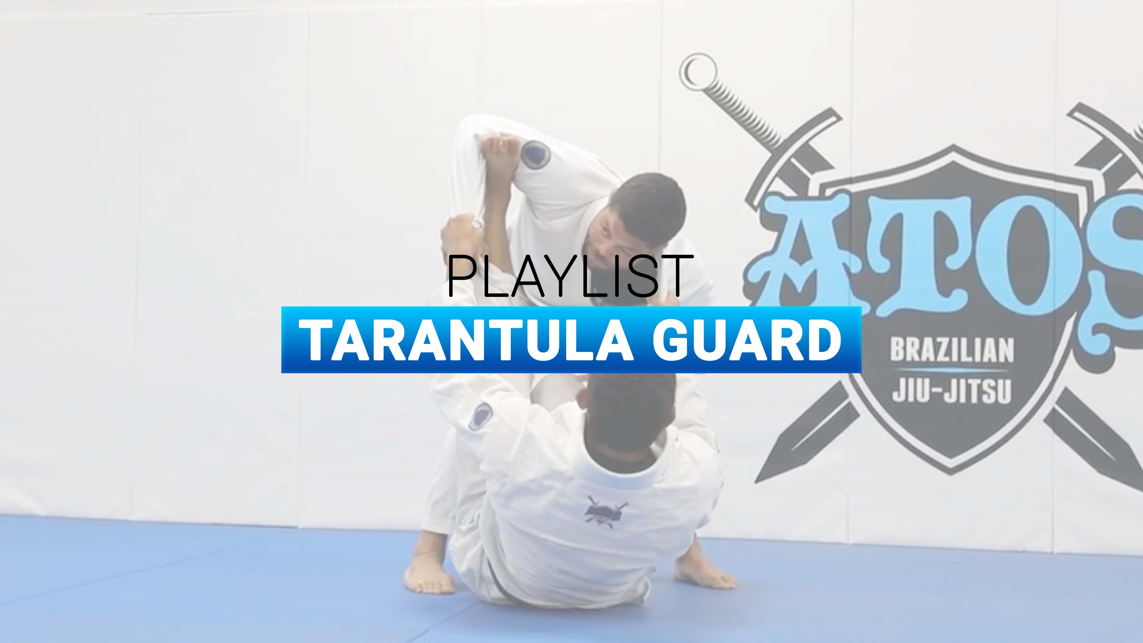 Tarantula Guard