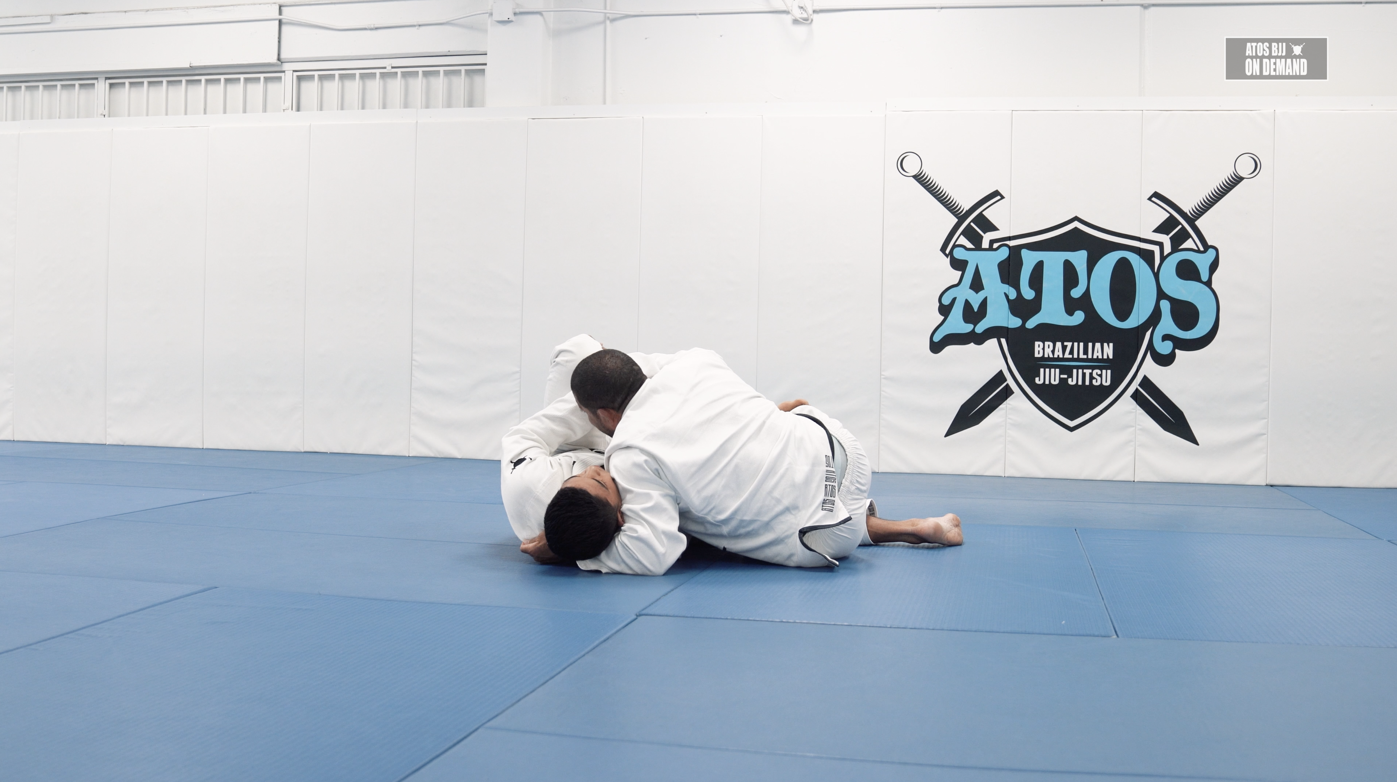 Lapel Guard Control and Attacks | Part 3