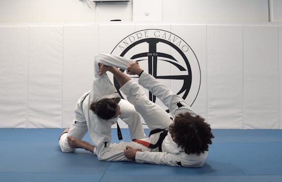 3 Amazing Sweeps & Concepts From Spid...