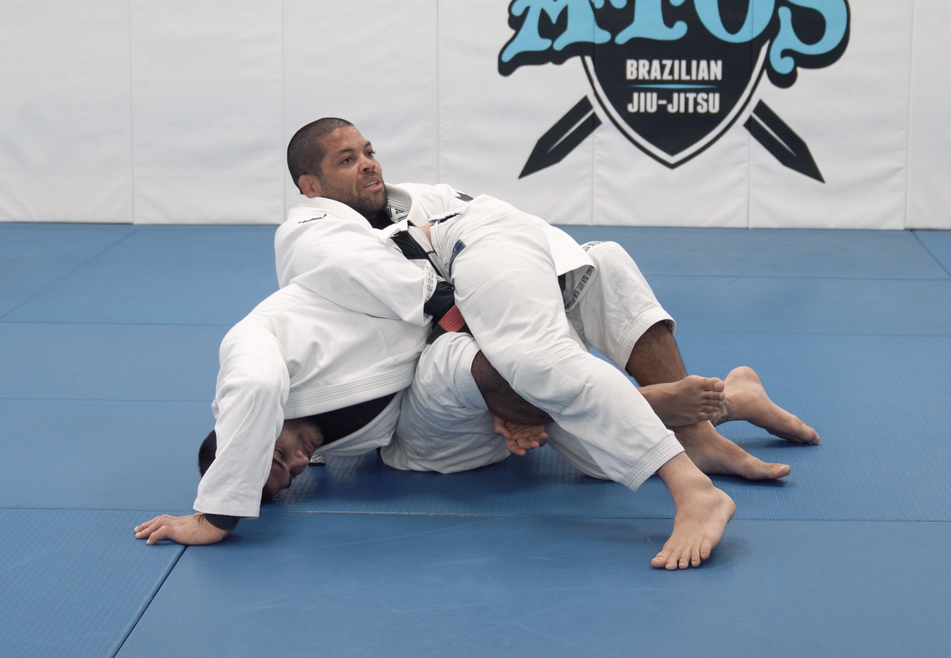 Single Leg Counter Attacks - IBJJF Rules | Part 2 