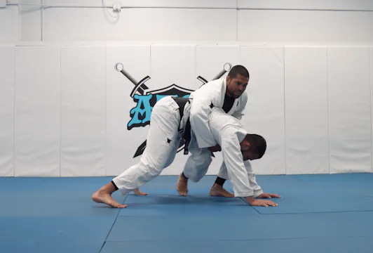 Single Leg Takedowns Reviews | Part 3