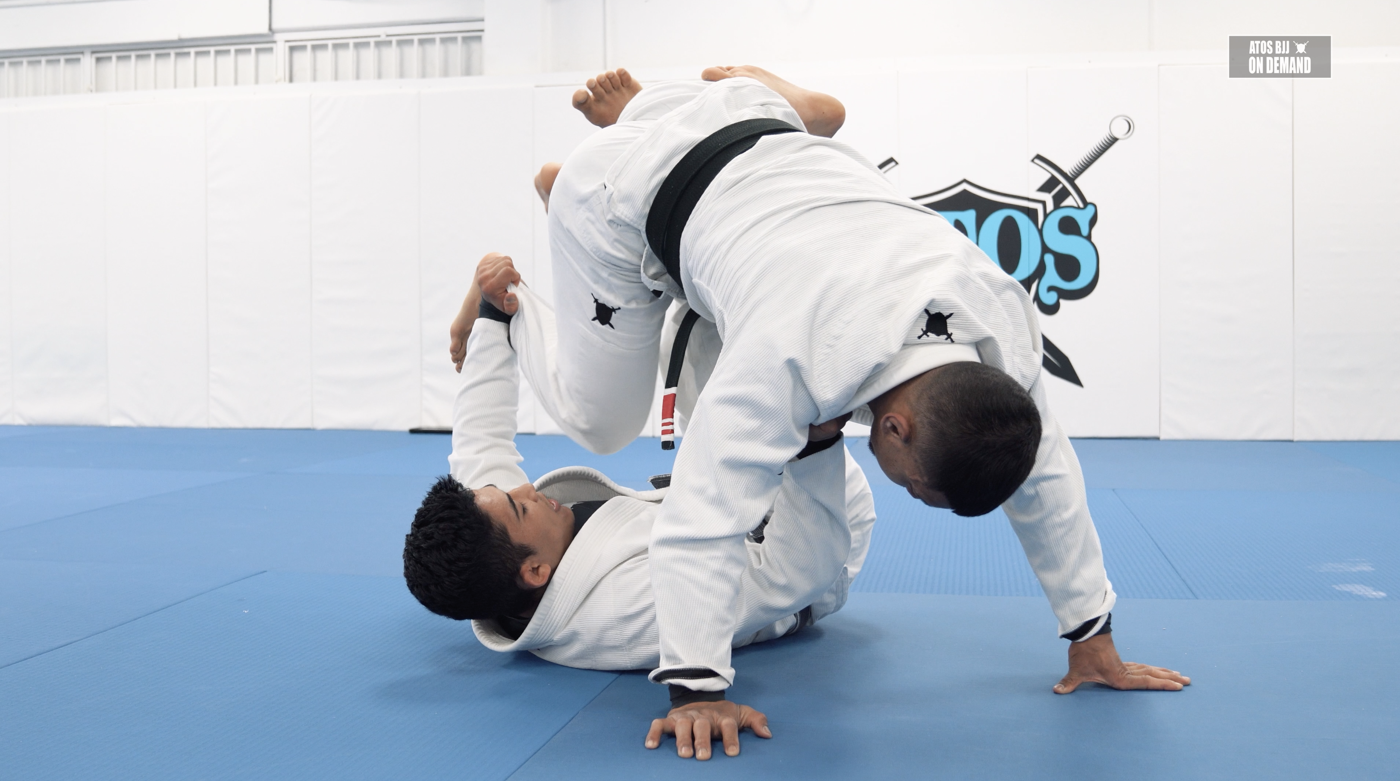 Honey Hole Sweep and Submissions 