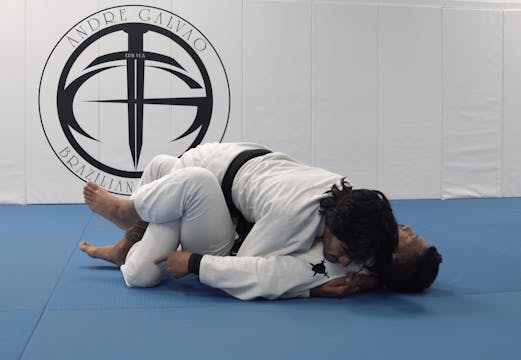 Recovering Half Guard With Butterfly ...