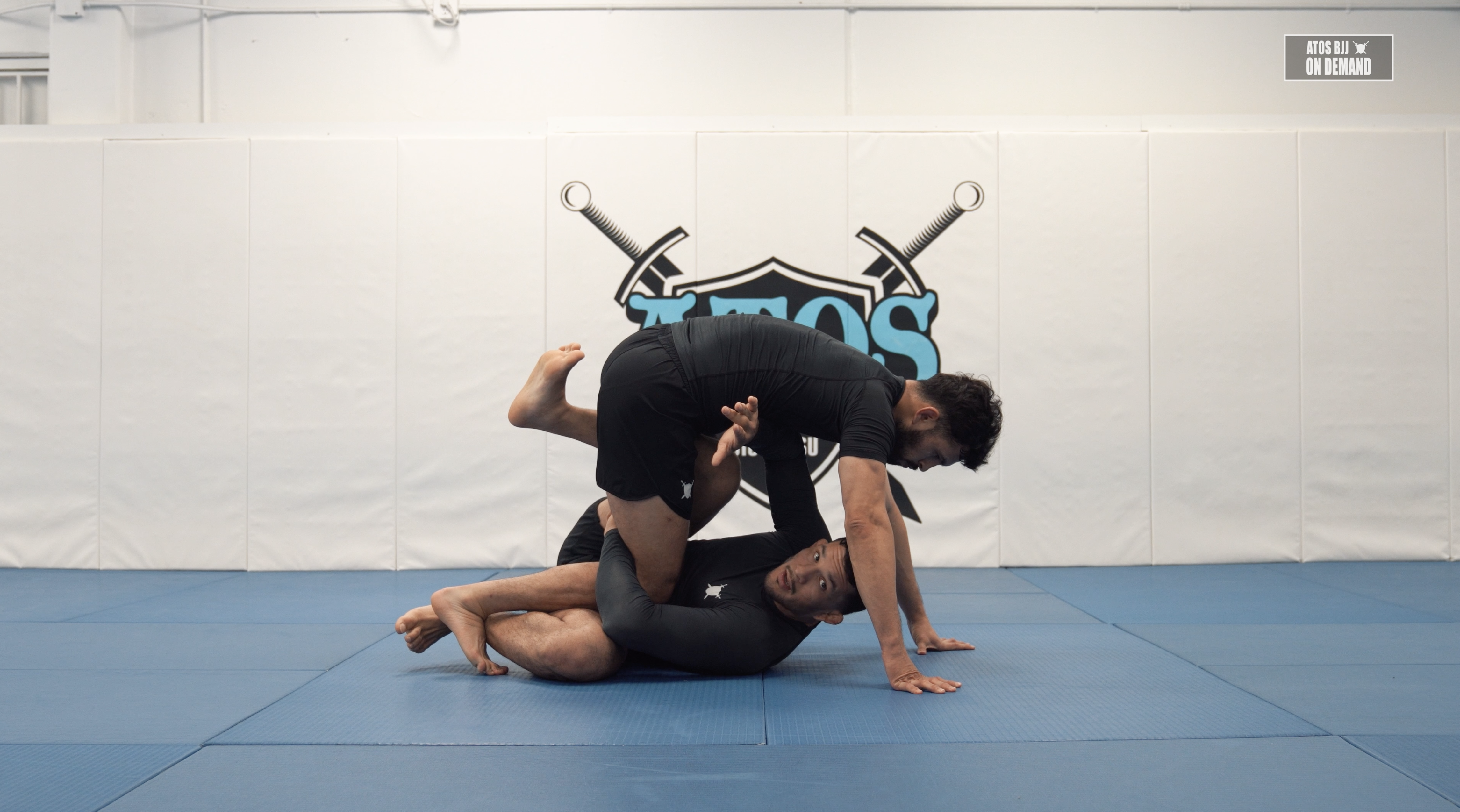 Wresle Up From Headquarters Variations to Calf Slicer | Part 1