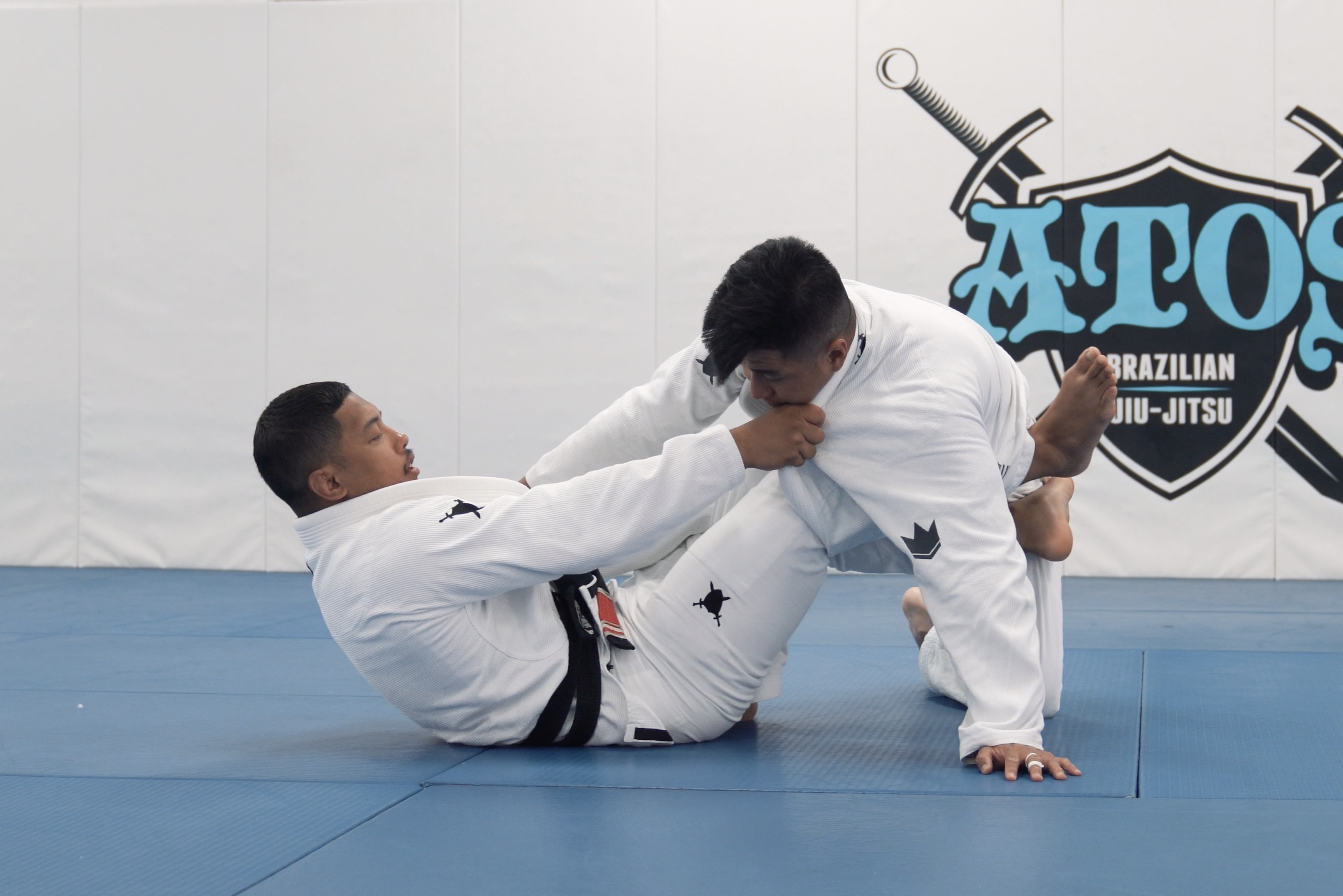 Worm Guard Entry to DLR X Sweep | Part 2