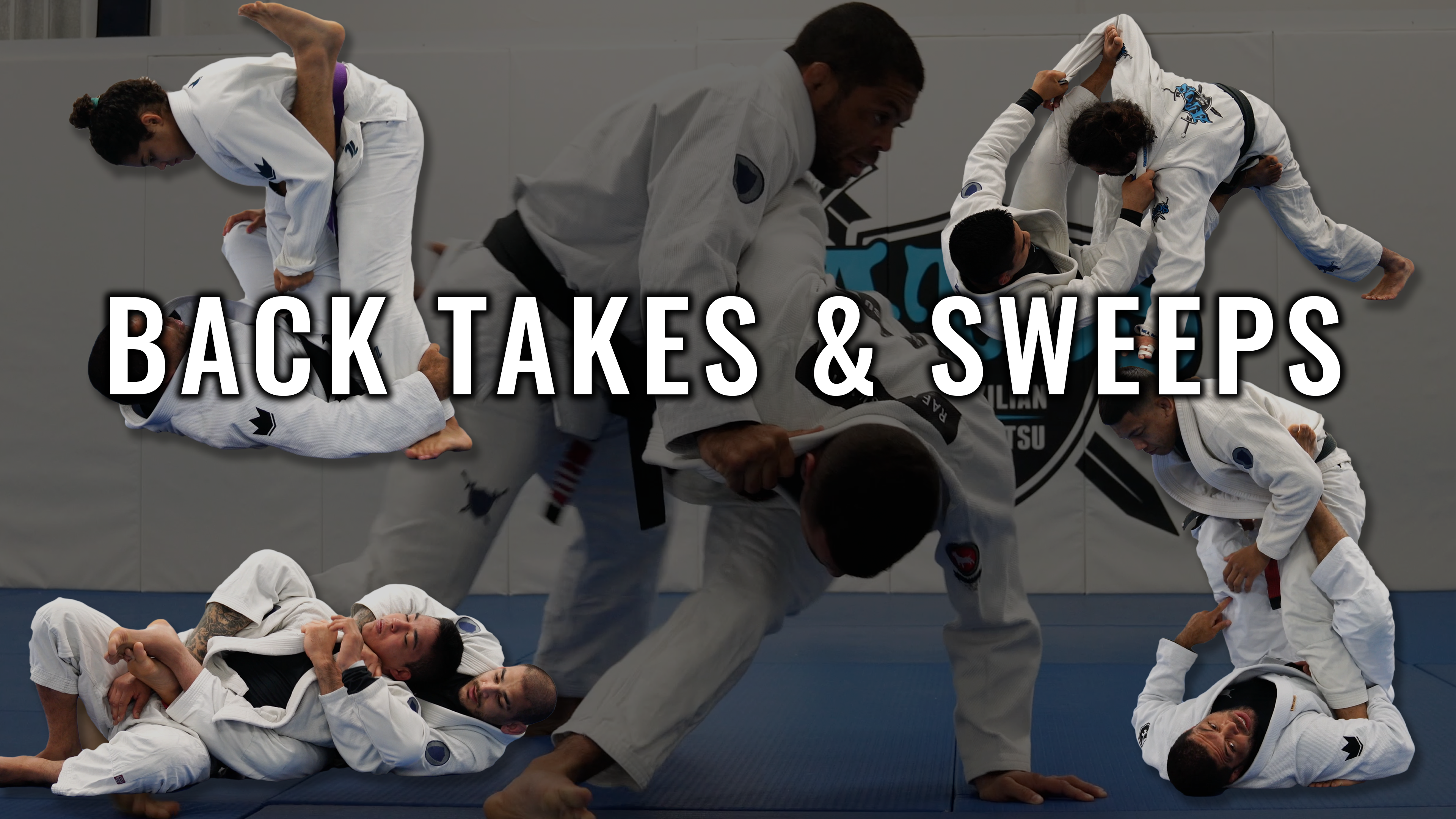Back Takes & Sweeps