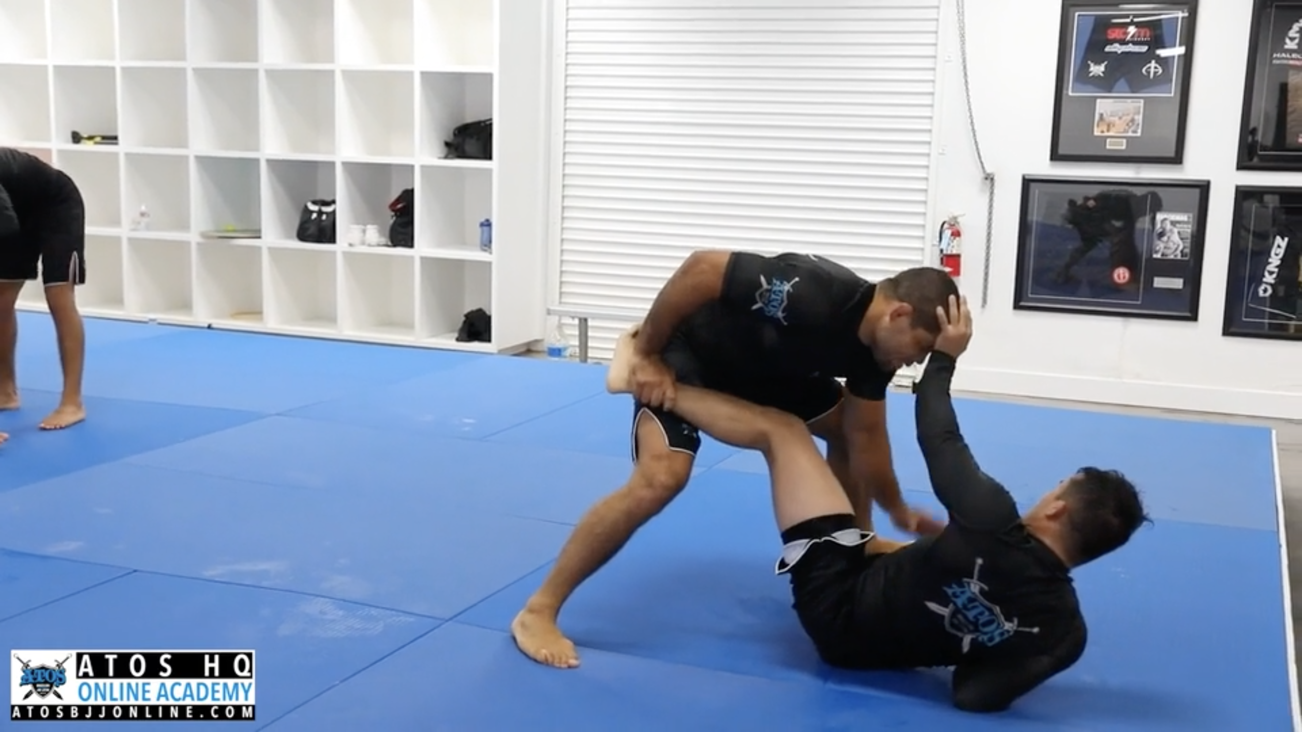 Andre Galvao vs Guilherme Monteiro (Brown Belt)