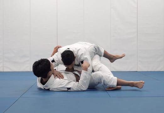 Squid Guard Counter to Leg Drag