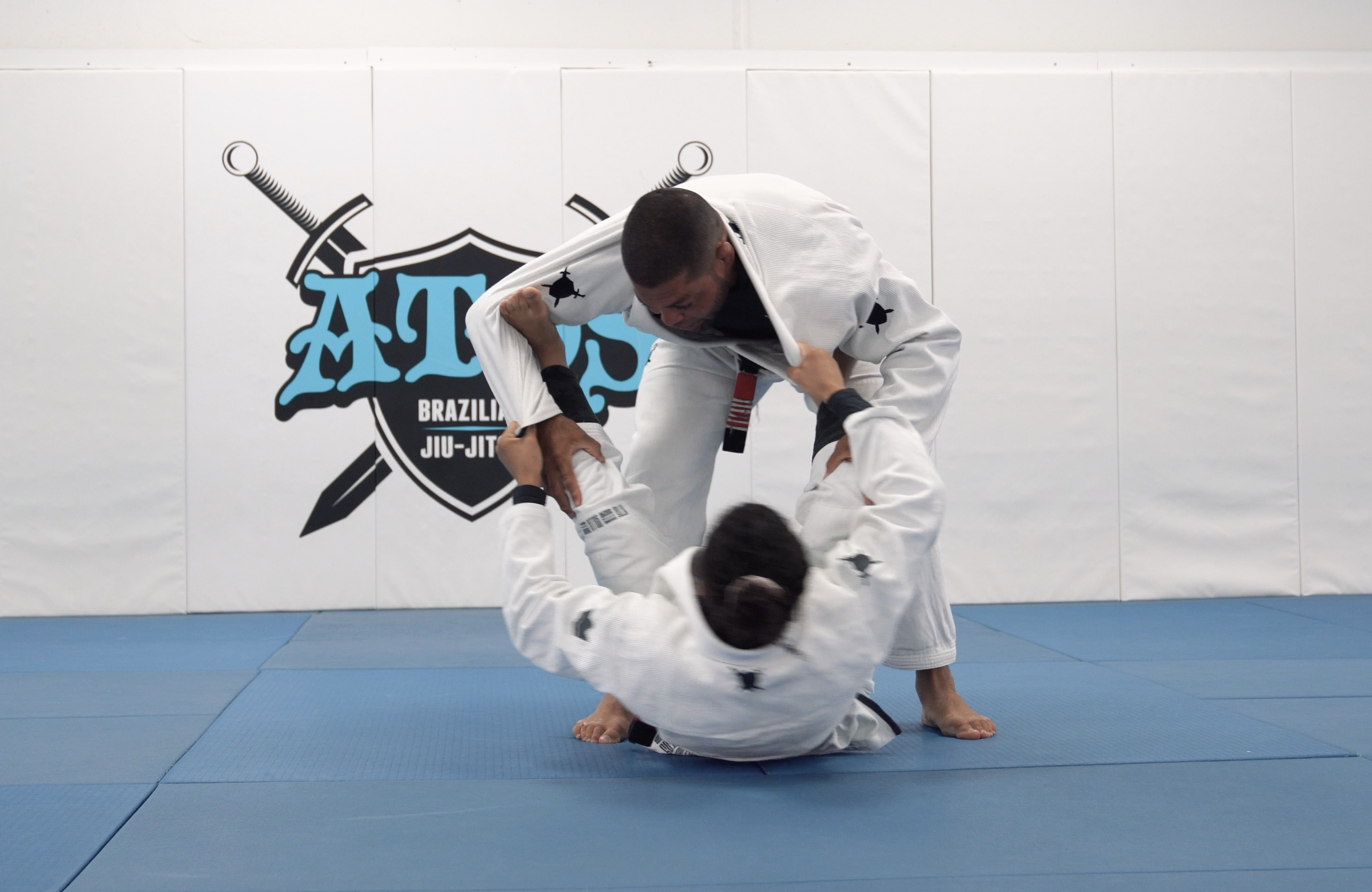 Tarantula Guard Sweep Review | Part 2