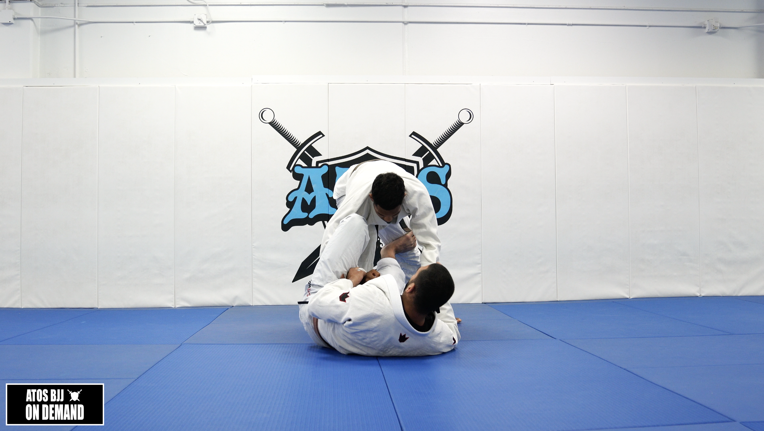 Lasso Guard + De La Riva Sweep