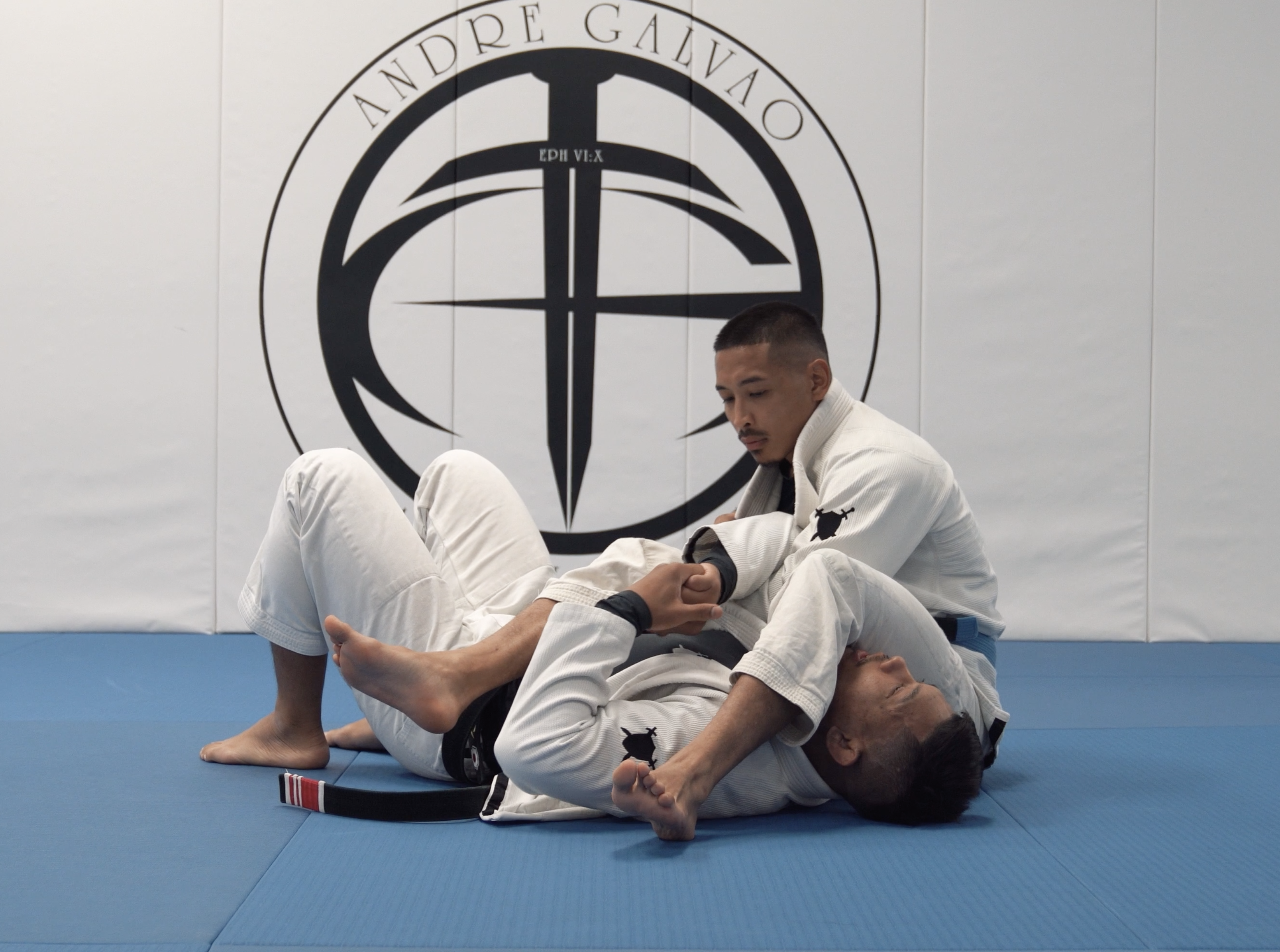 Defending the Arm Bar