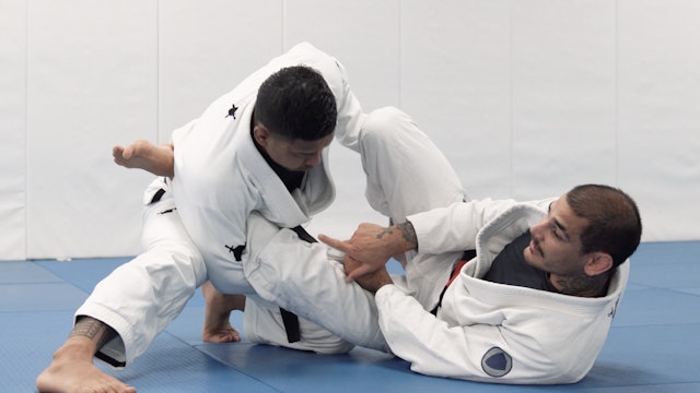 Lasso Guard Concepts with Transition to Omoplata