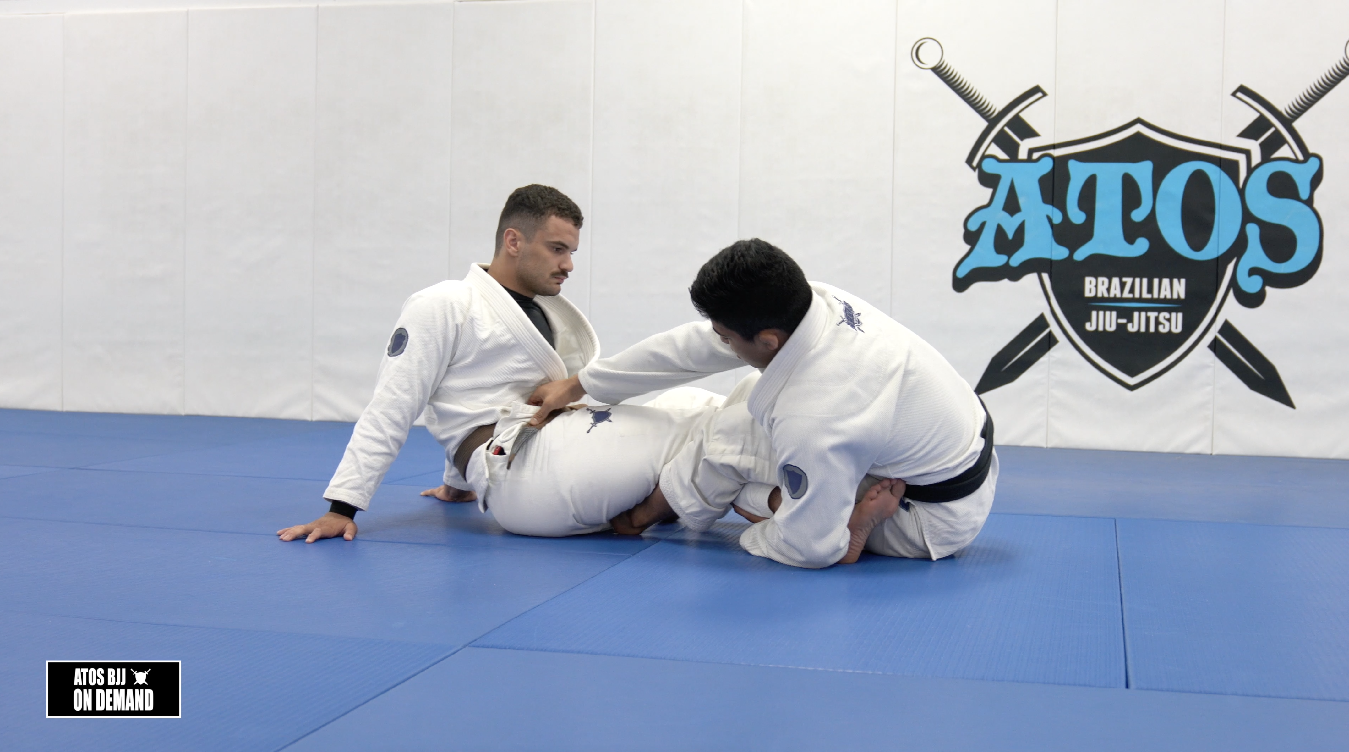 Berimbolo from Double Guard Pull