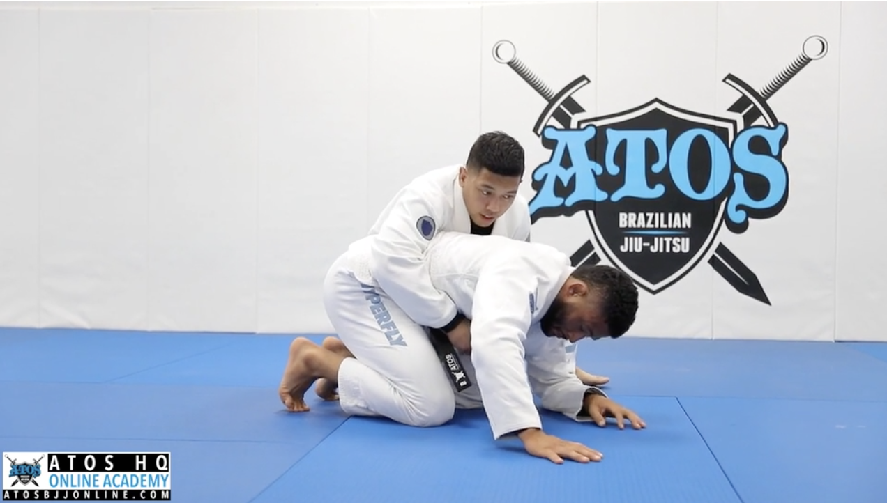 Navigating On Top Turtle Position | Concepts & Variations