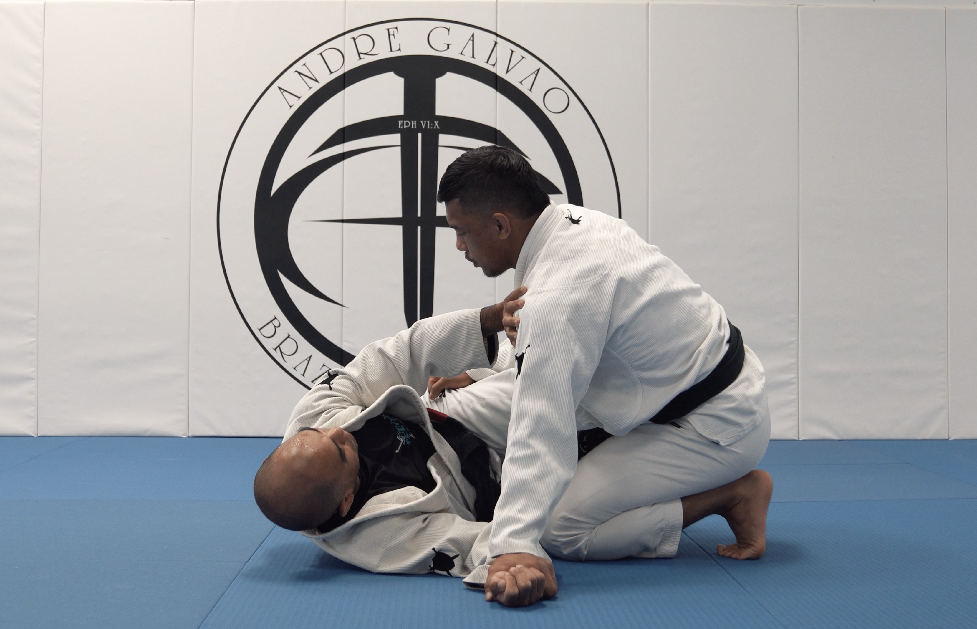 Passing Knee Shield With Wrist Pin